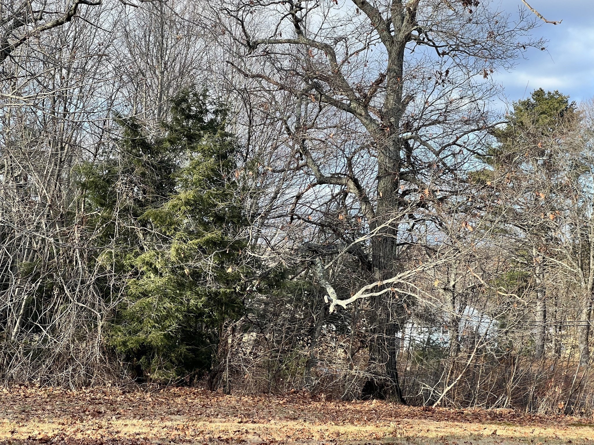 100 West Main St, Westminster, MA 01473 - Image 3