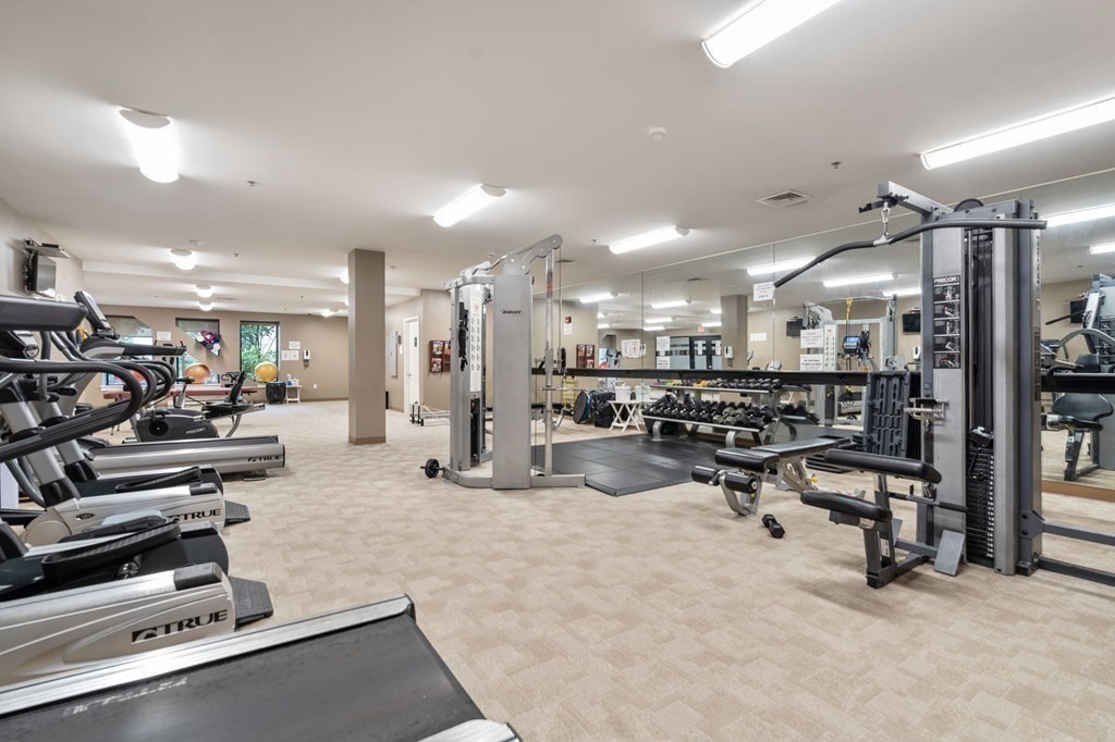 2400 Beacon St Unit 112, Brighton, Boston, MA 02467 - Image 20