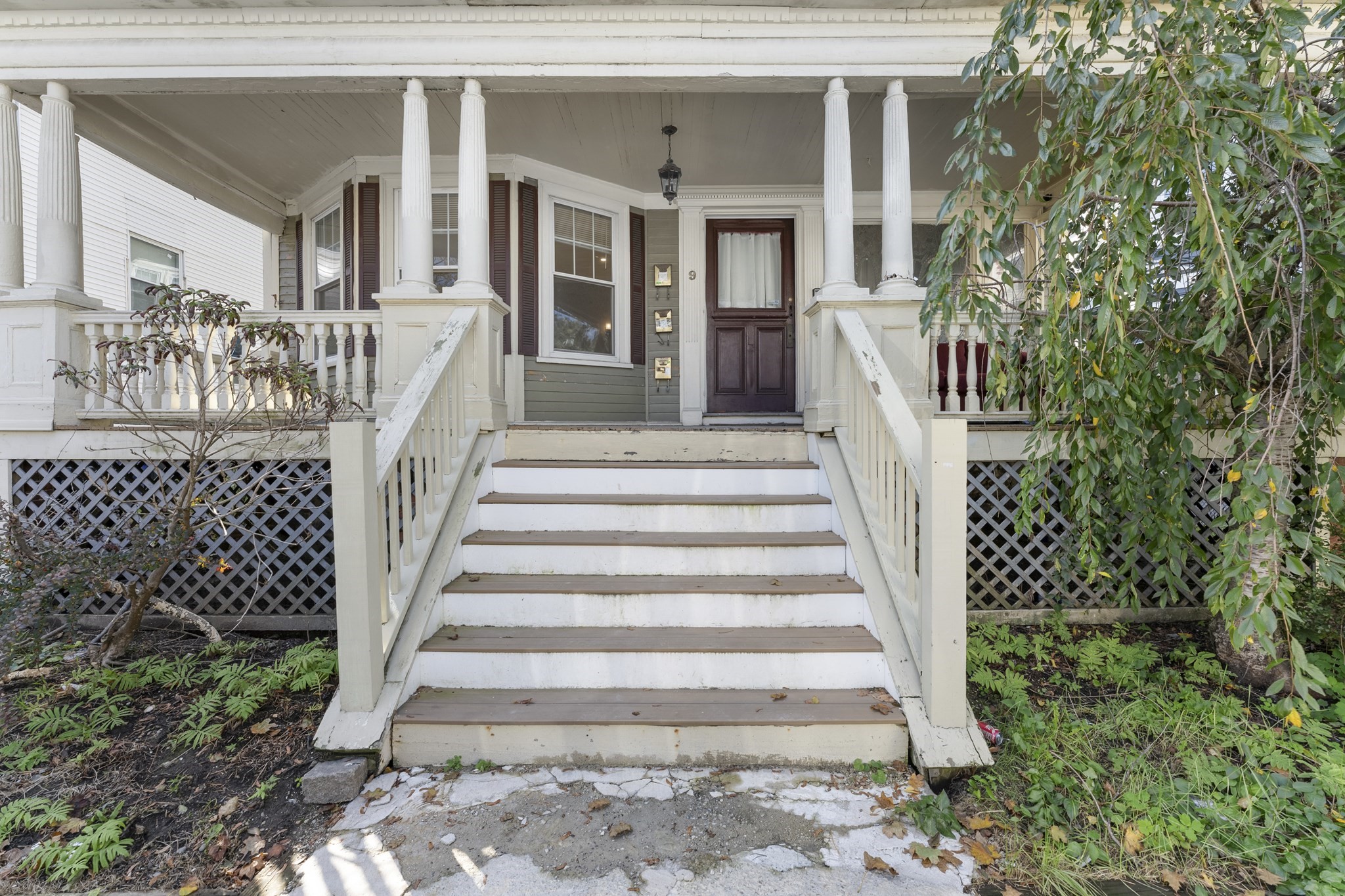 9 Abbotsford St Unit 1, Roxbury, Boston, MA 02121 - Image 4