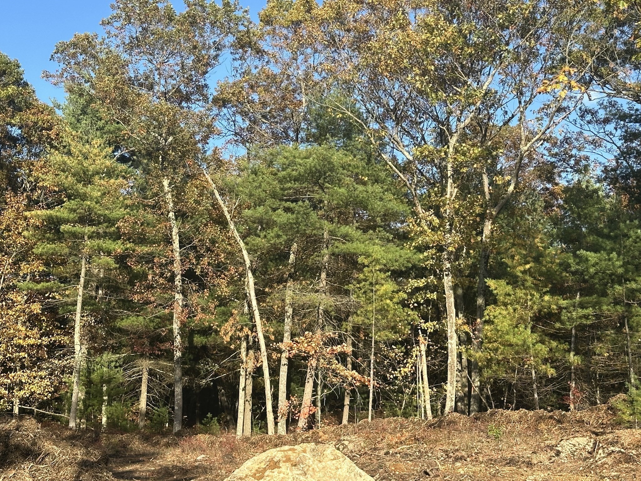 0 Fall Lane, Franklin, MA 02038 - Image 3