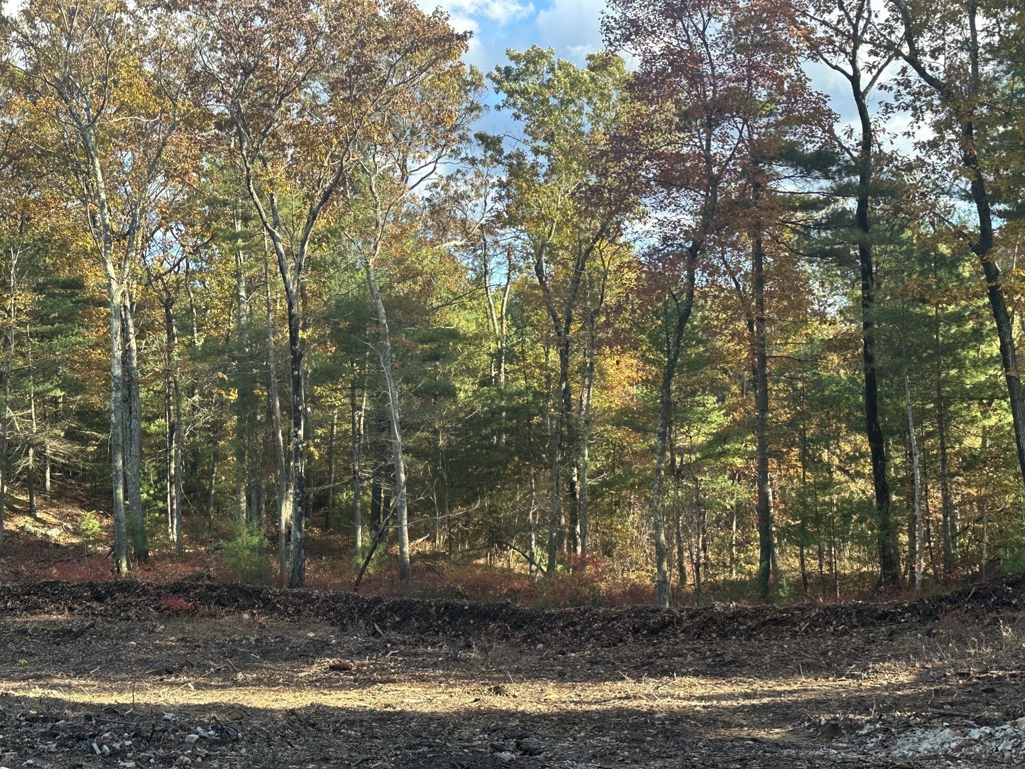 0 Fall Lane, Franklin, MA 02038 - Image 4