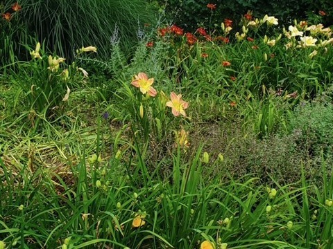 36 Sunrise Ave, Leominster, MA 01453 - Image 29