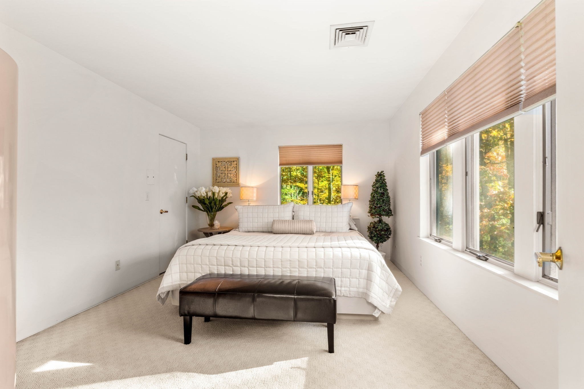 50 Page, Hampstead, NH 03841 - Image 28