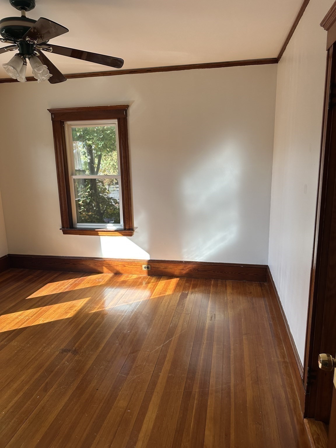 36 Jasper Street, Saugus, MA 01906 - Image 21