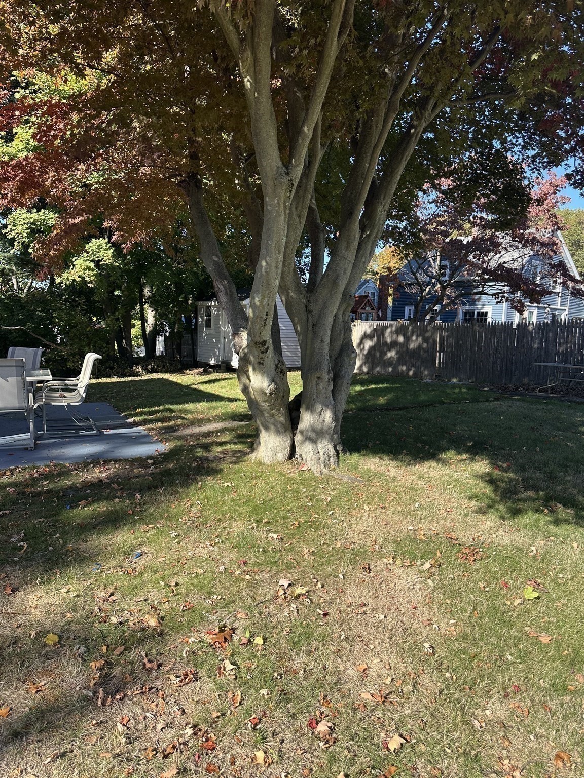 36 Jasper Street, Saugus, MA 01906 - Image 7