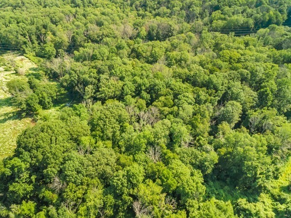 0 Auburn Rd, Millbury, MA 01527 - Image 5