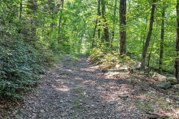 0 Auburn Rd, Millbury, MA 01527 - Image 8