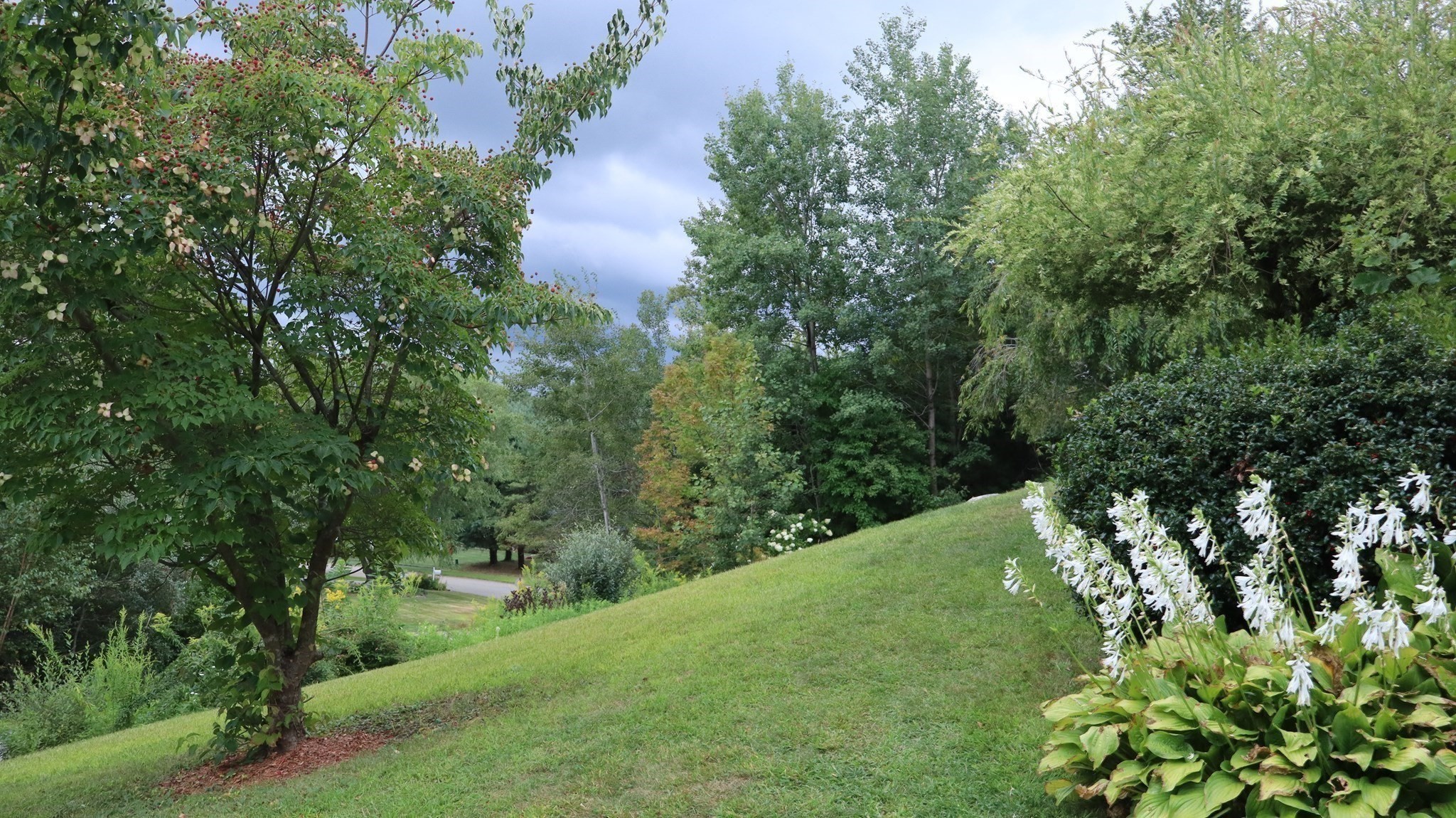 1 Deer Run, Charlton, MA 01507 - Image 6