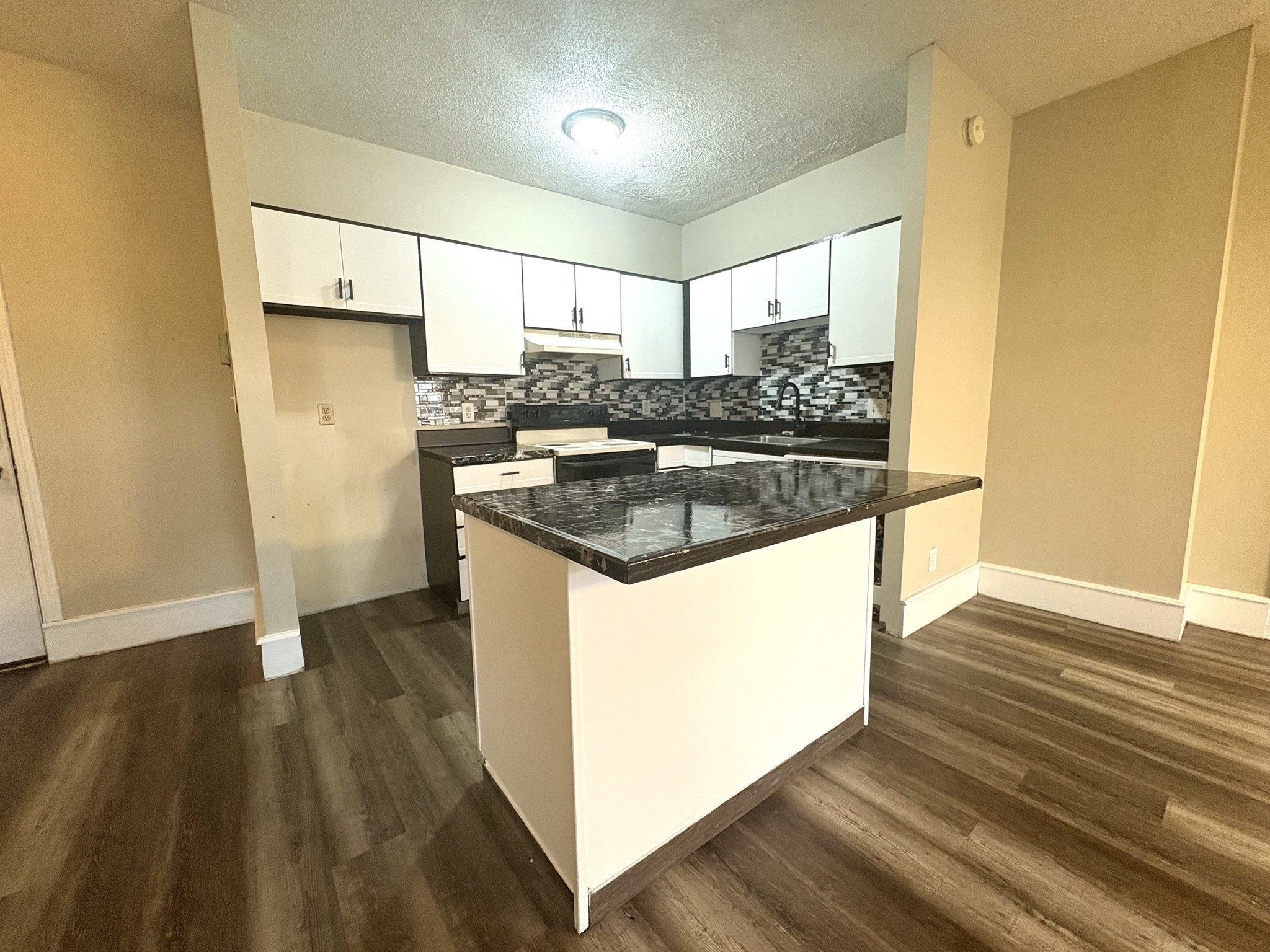 140 Chestnut St Unit 204, Springfield, MA 01103 - Image 2