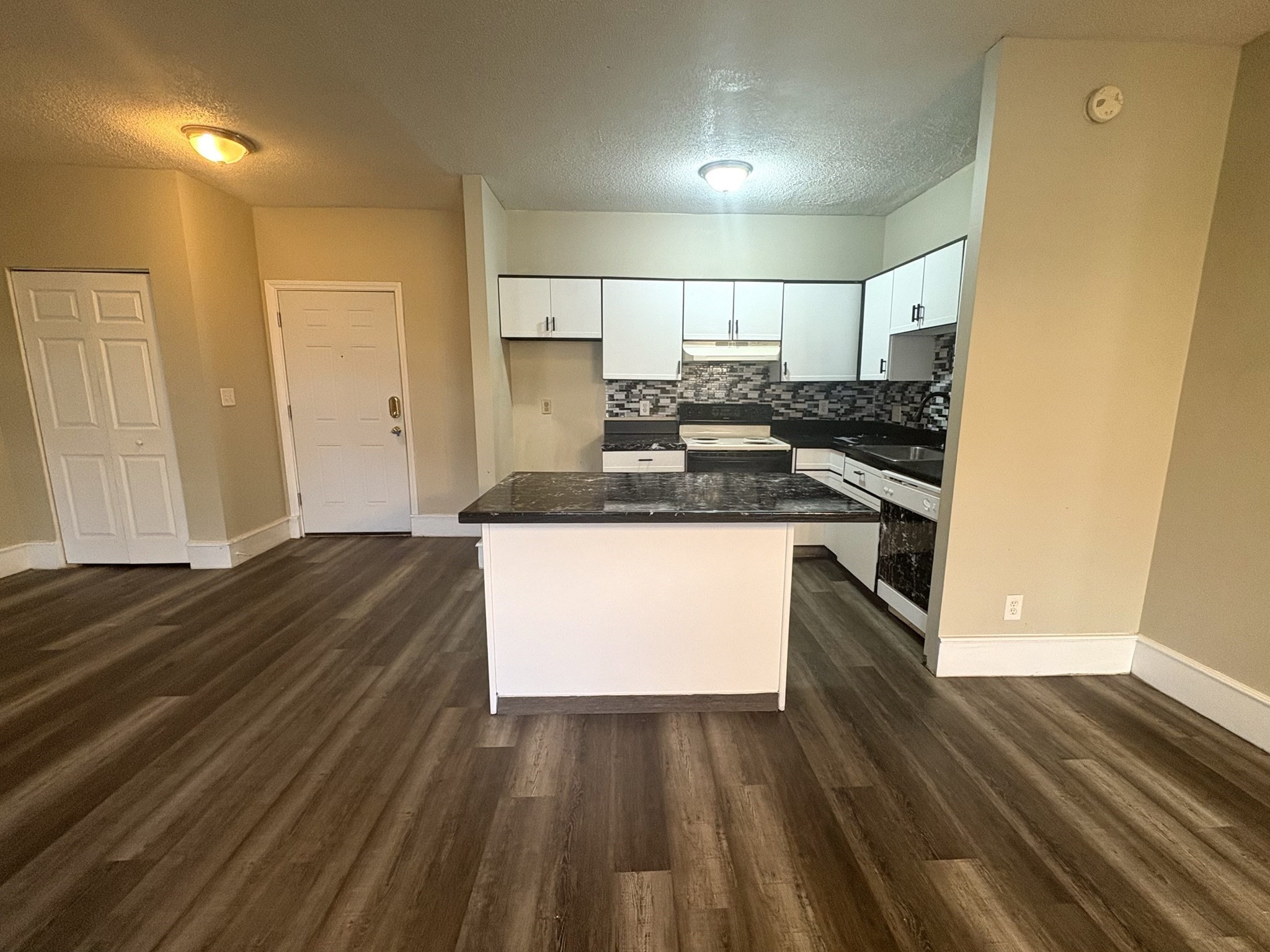 140 Chestnut St Unit 204, Springfield, MA 01103 - Image 3