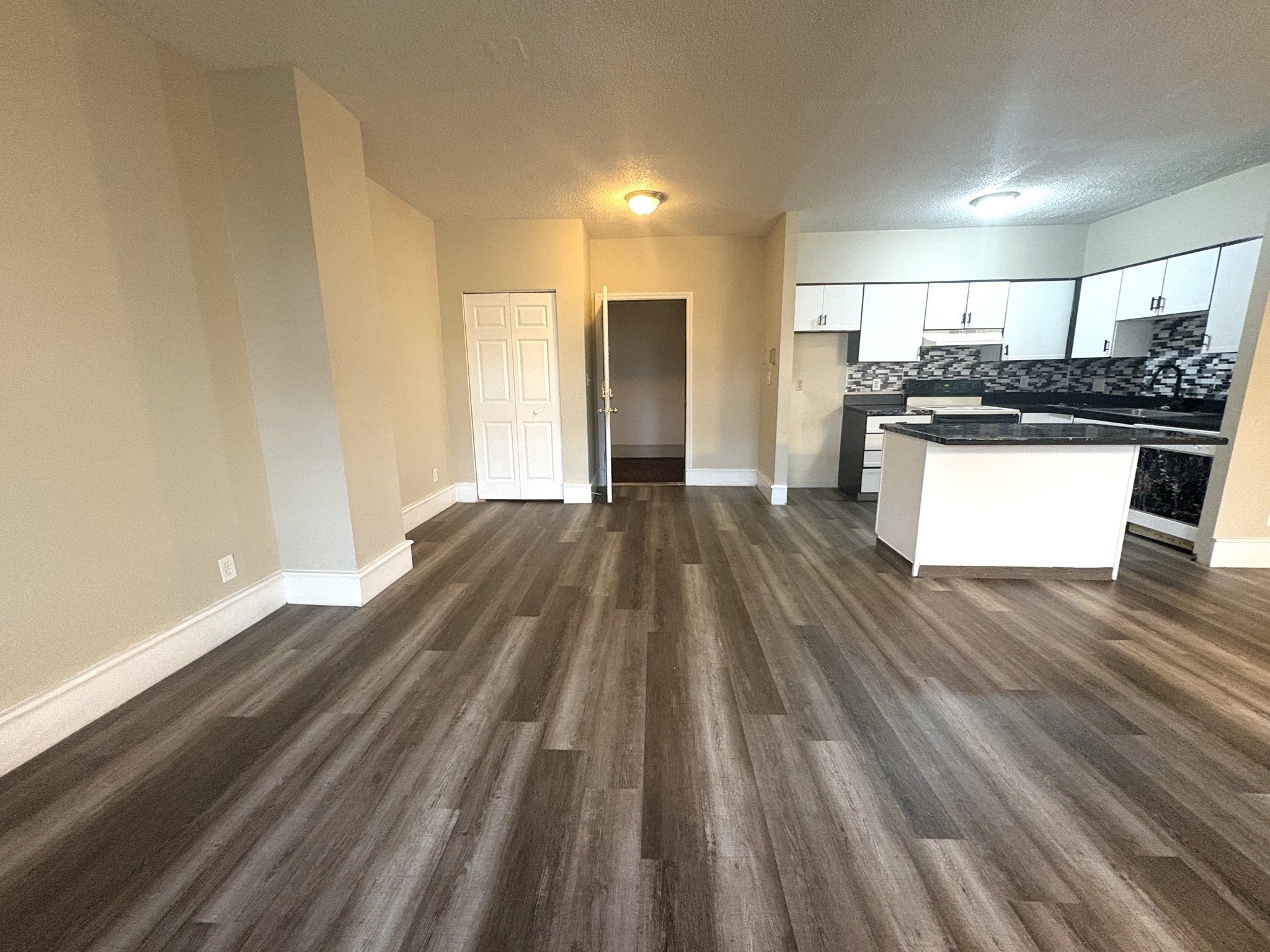 140 Chestnut St Unit 204, Springfield, MA 01103 - Image 4