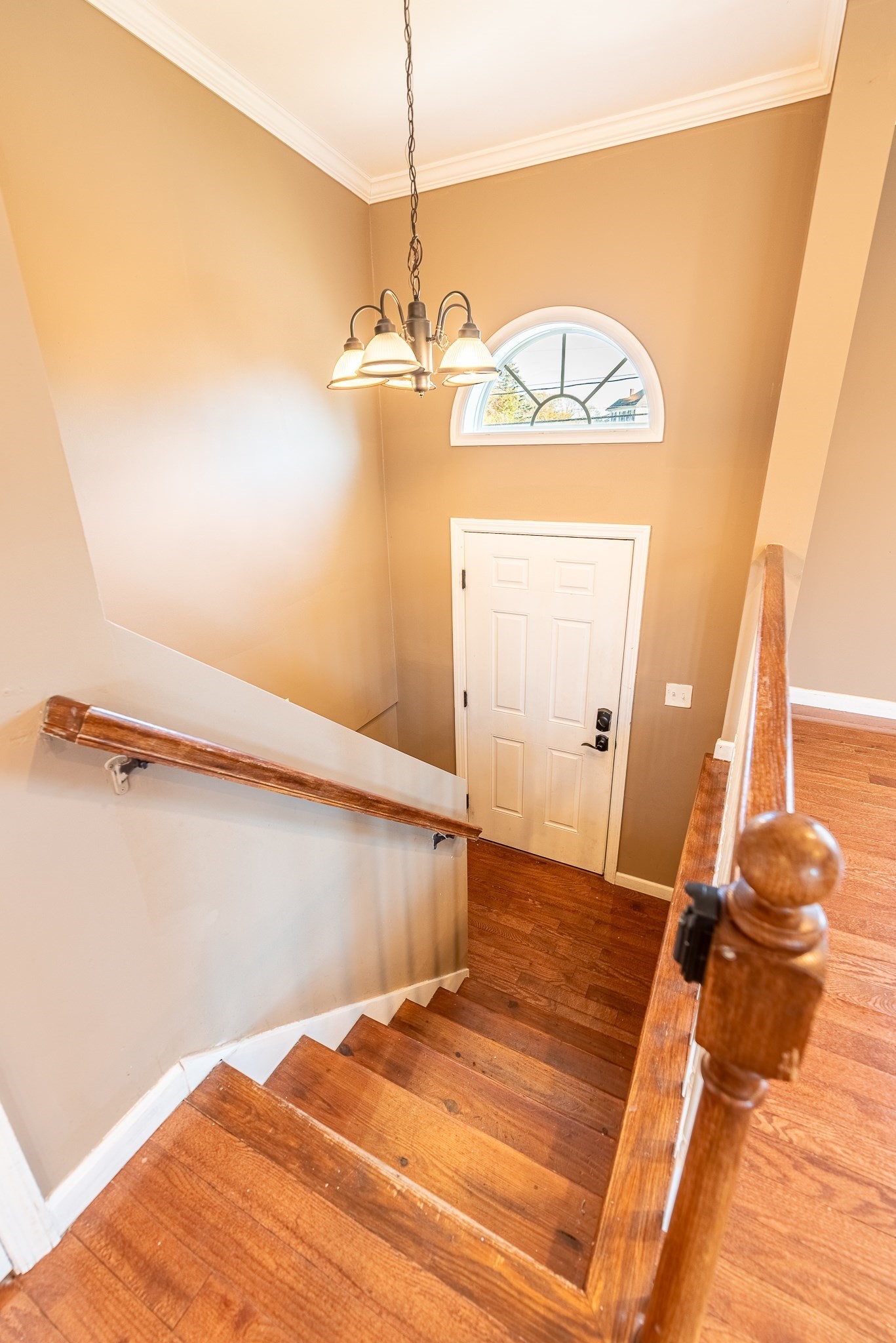 217 Napoleon St, Fall River, MA 02721 - Image 20