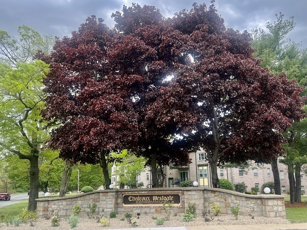 508 Oak Street Unit 10, Brockton, MA 02301 - Image 5