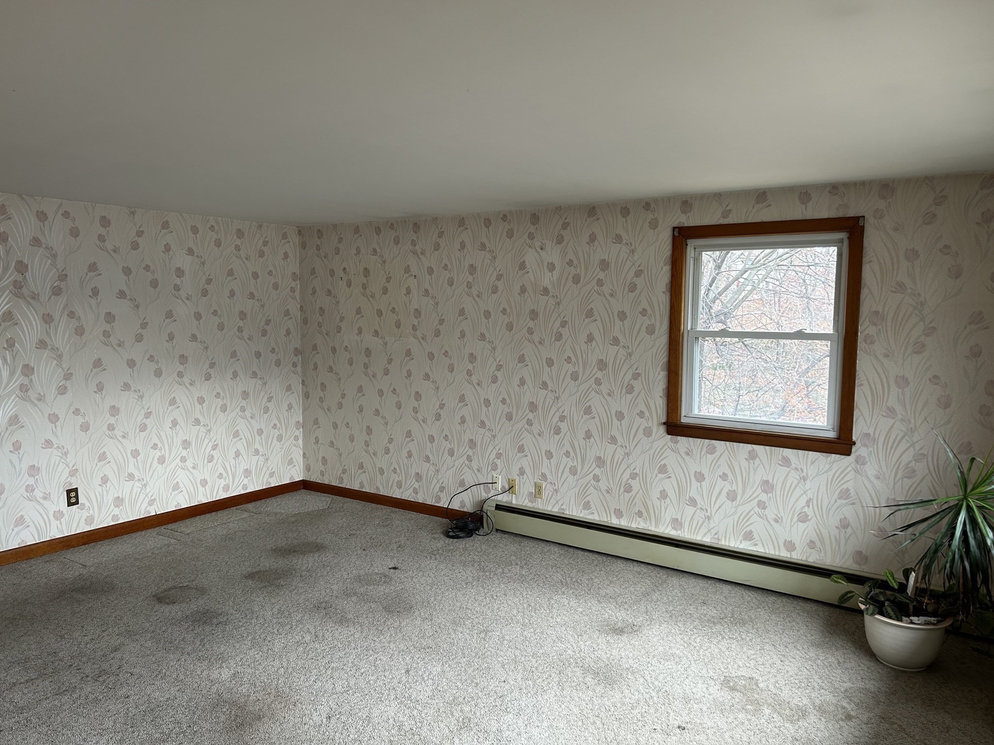 5 Lafayette Ave, Lawrence, MA 01843 - Image 11