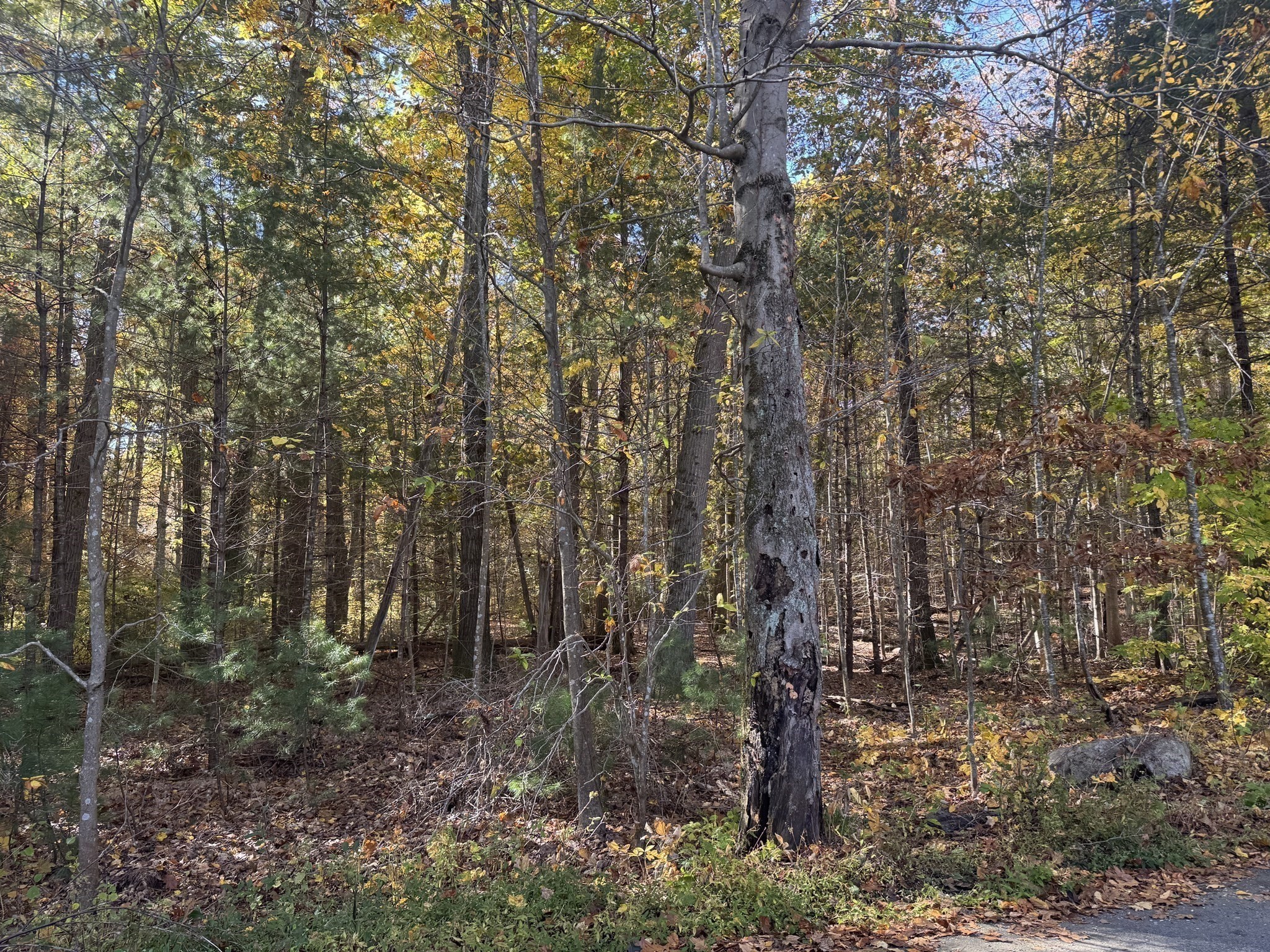 5 Preston Pl, Beverly, MA 01915 - Image 7