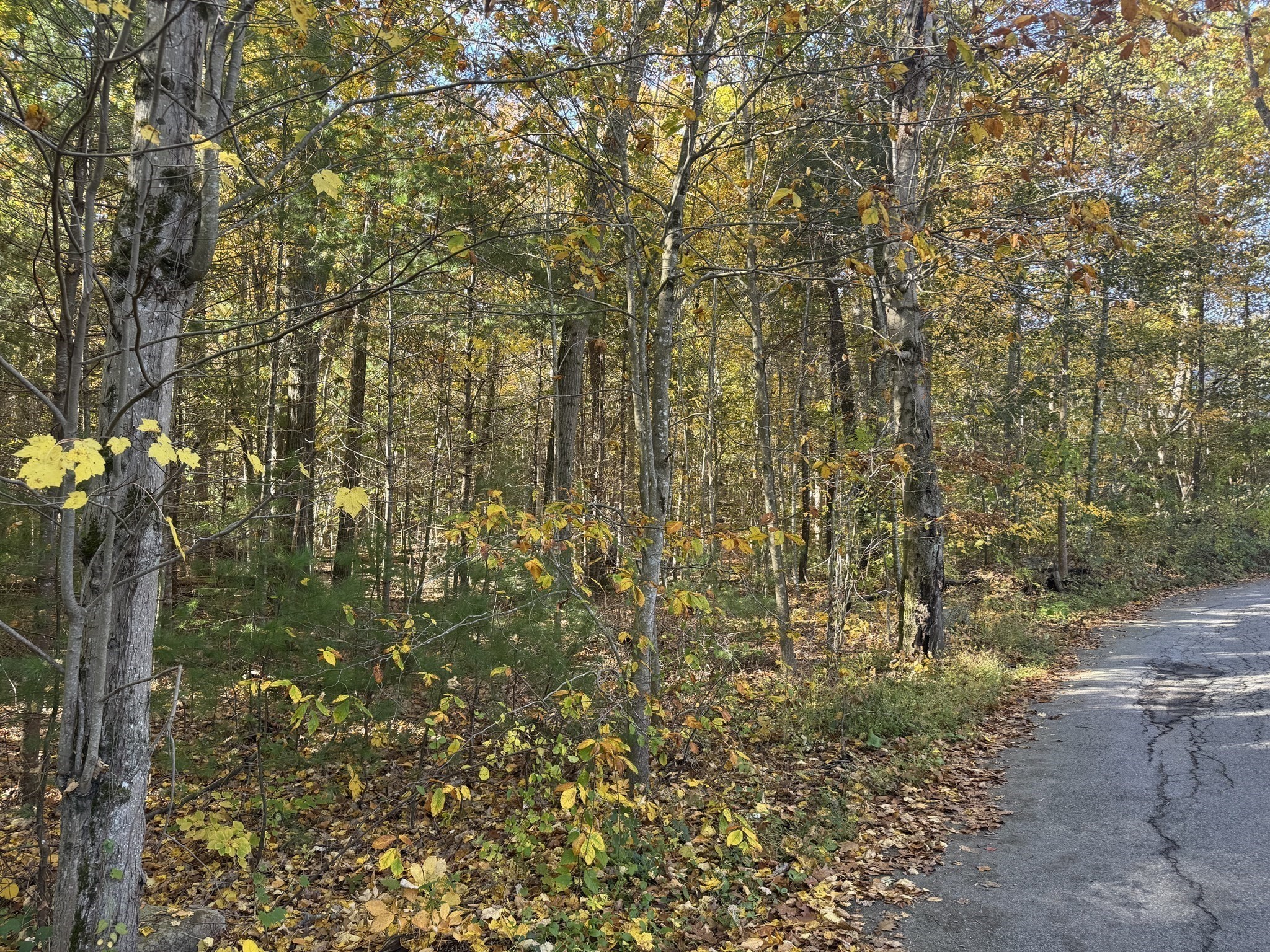 7 Preston Pl, Beverly, MA 01915 - Image 8