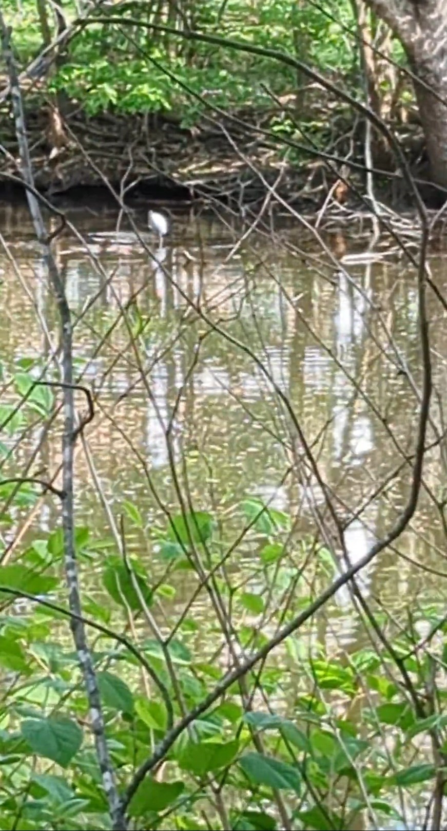 66 Canal Unit C, Medford, MA 02155 - Image 15