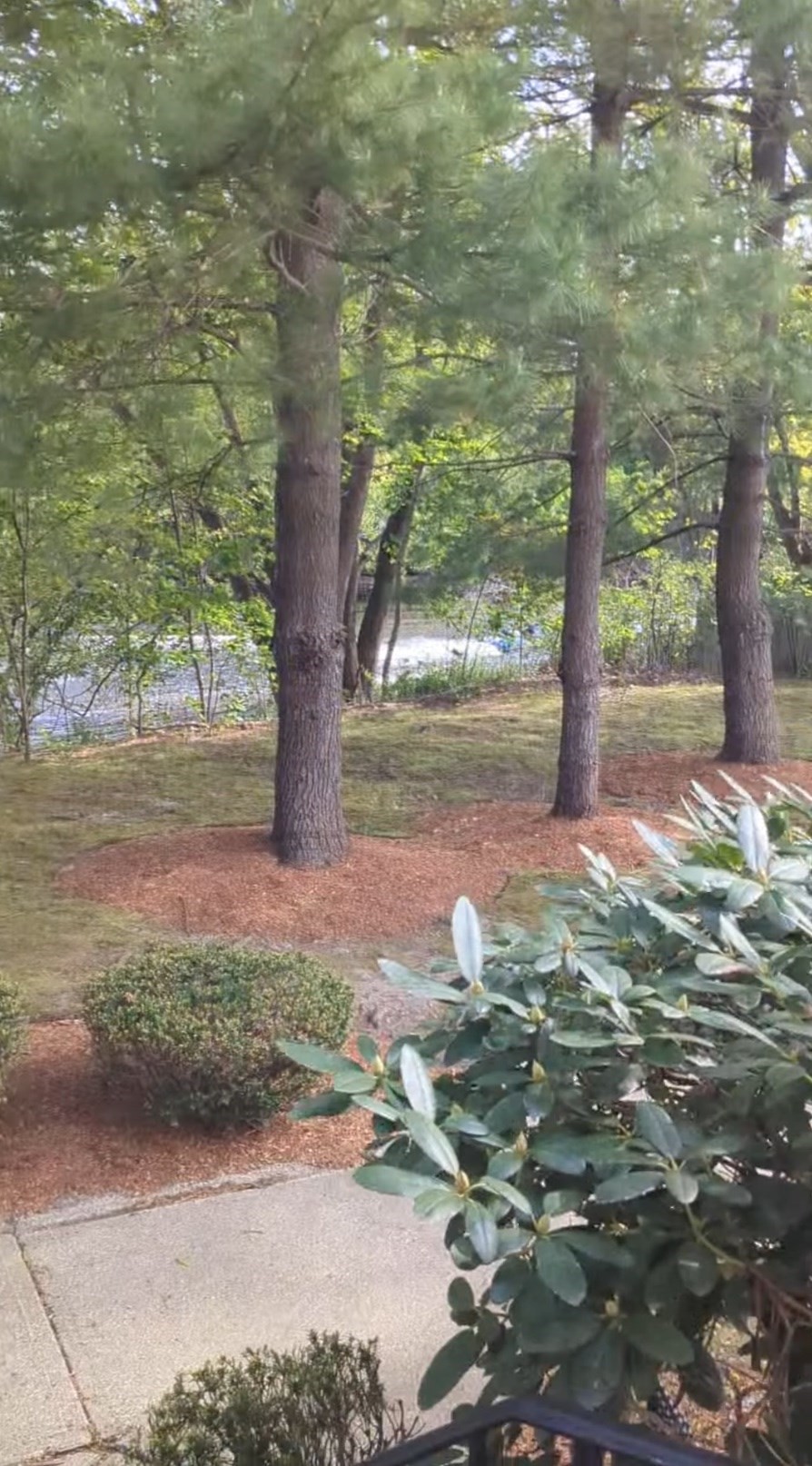 66 Canal Unit C, Medford, MA 02155 - Image 16