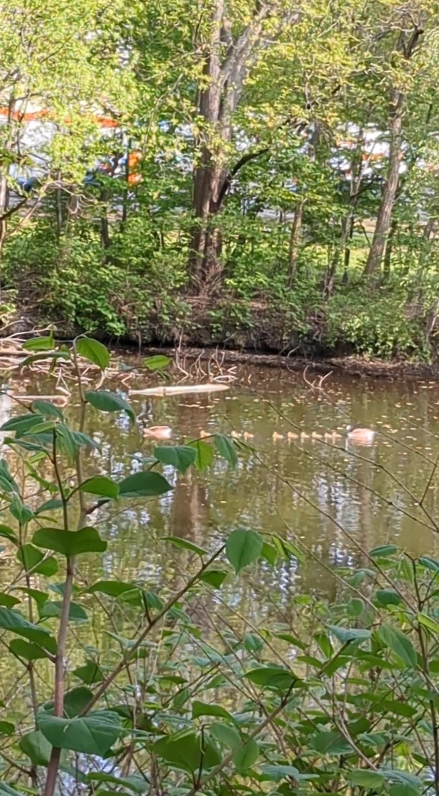 66 Canal Unit C, Medford, MA 02155 - Image 18