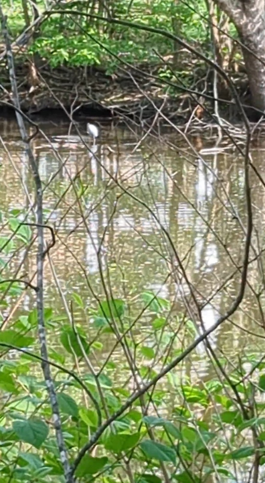 66 Canal Unit C, Medford, MA 02155 - Image 19