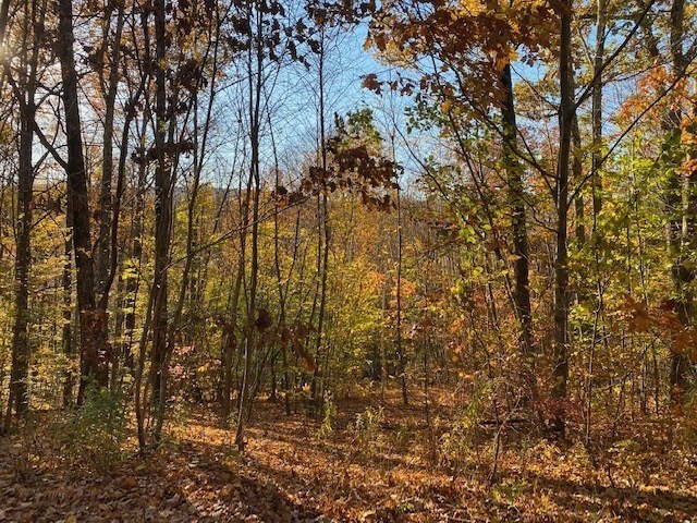 539 Fox Hill Road, Bernardston, MA 01337