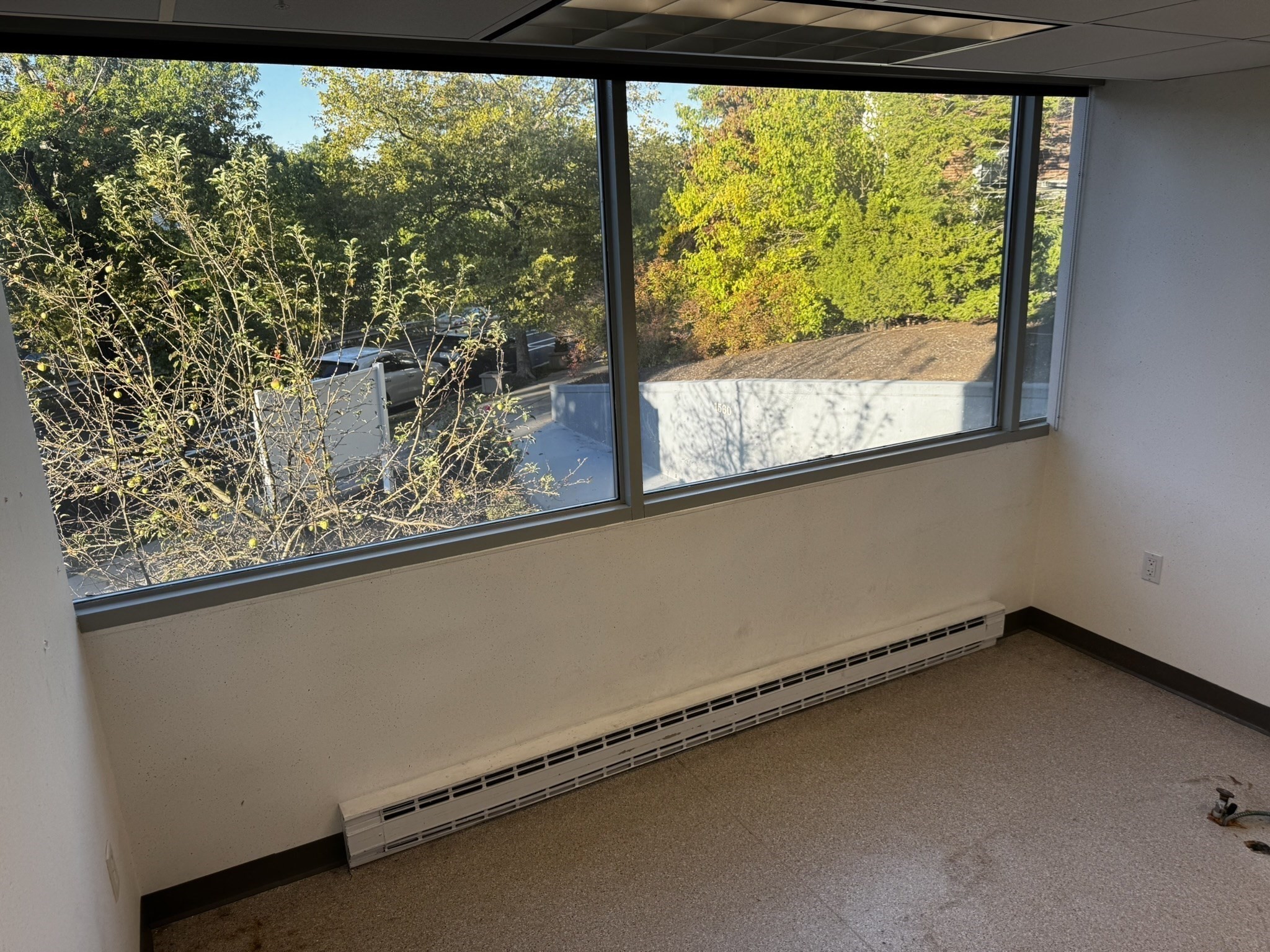 1560 Beacon St Unit 2nd Floor, Brookline, MA 02446 - Image 24