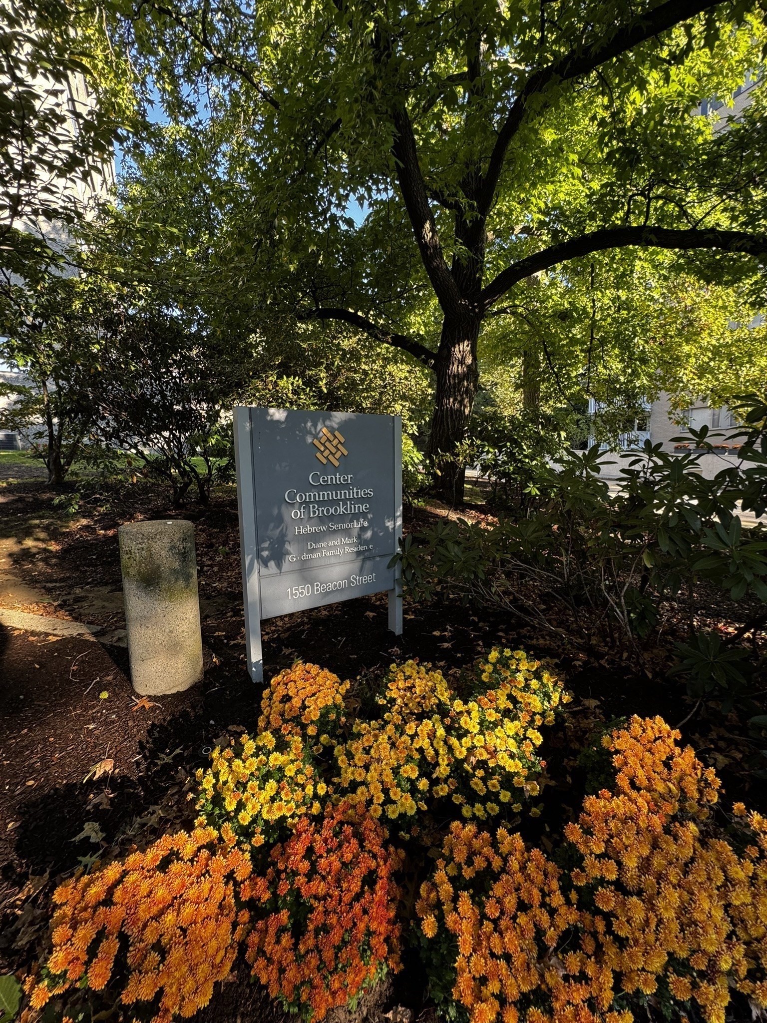 1560 Beacon St Unit 2nd Floor, Brookline, MA 02446 - Image 6