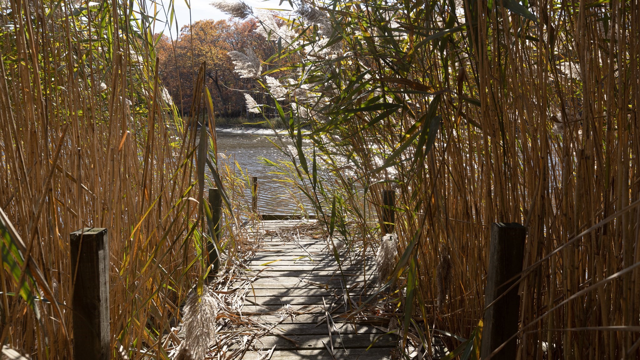 199 Cottage Grove Ave, Warwick, RI 02889 - Image 4