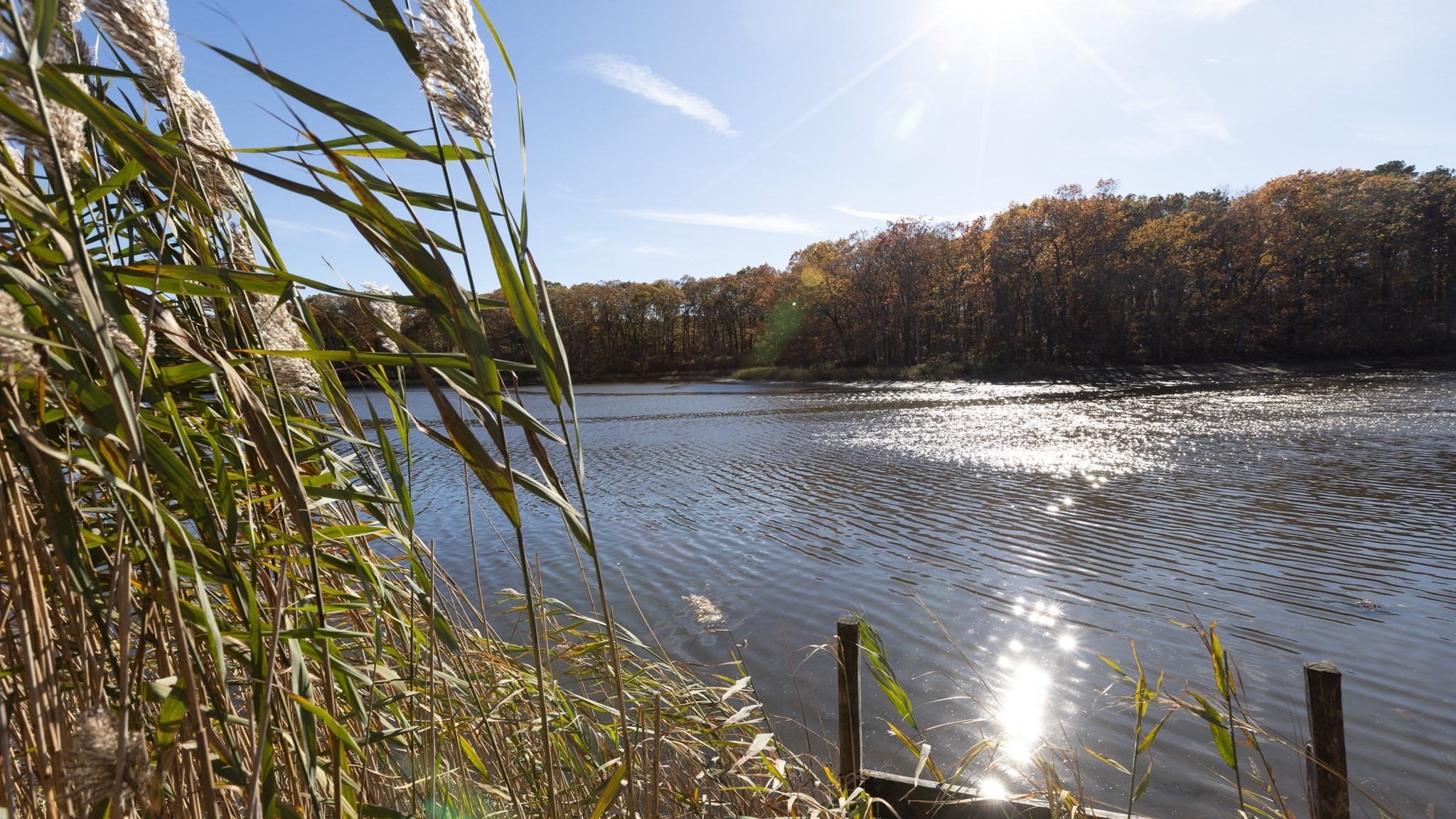 199 Cottage Grove Ave, Warwick, RI 02889 - Image 5