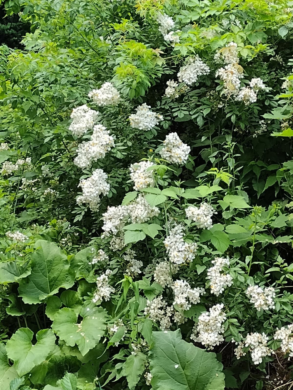 150 Webster Ave Unit 3, Chelsea, MA 02150 - Image 12