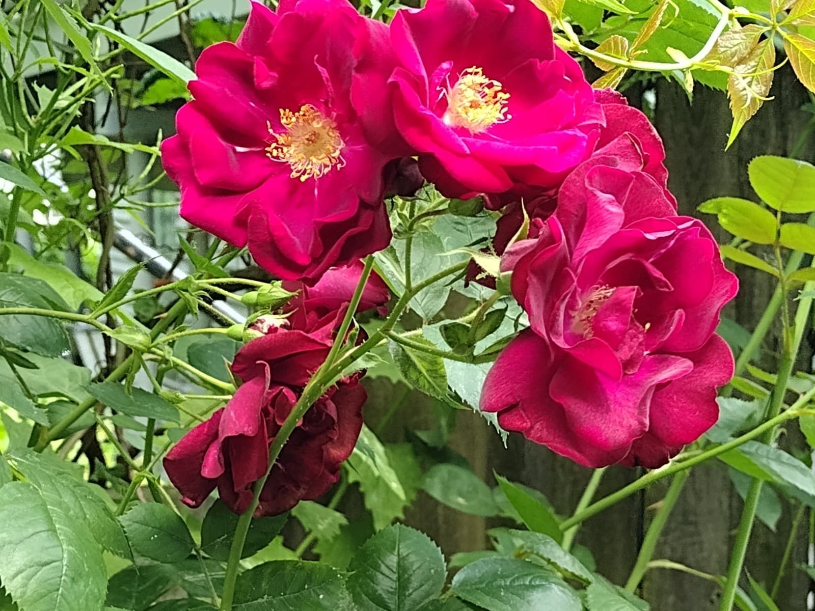 150 Webster Ave Unit 3, Chelsea, MA 02150 - Image 13