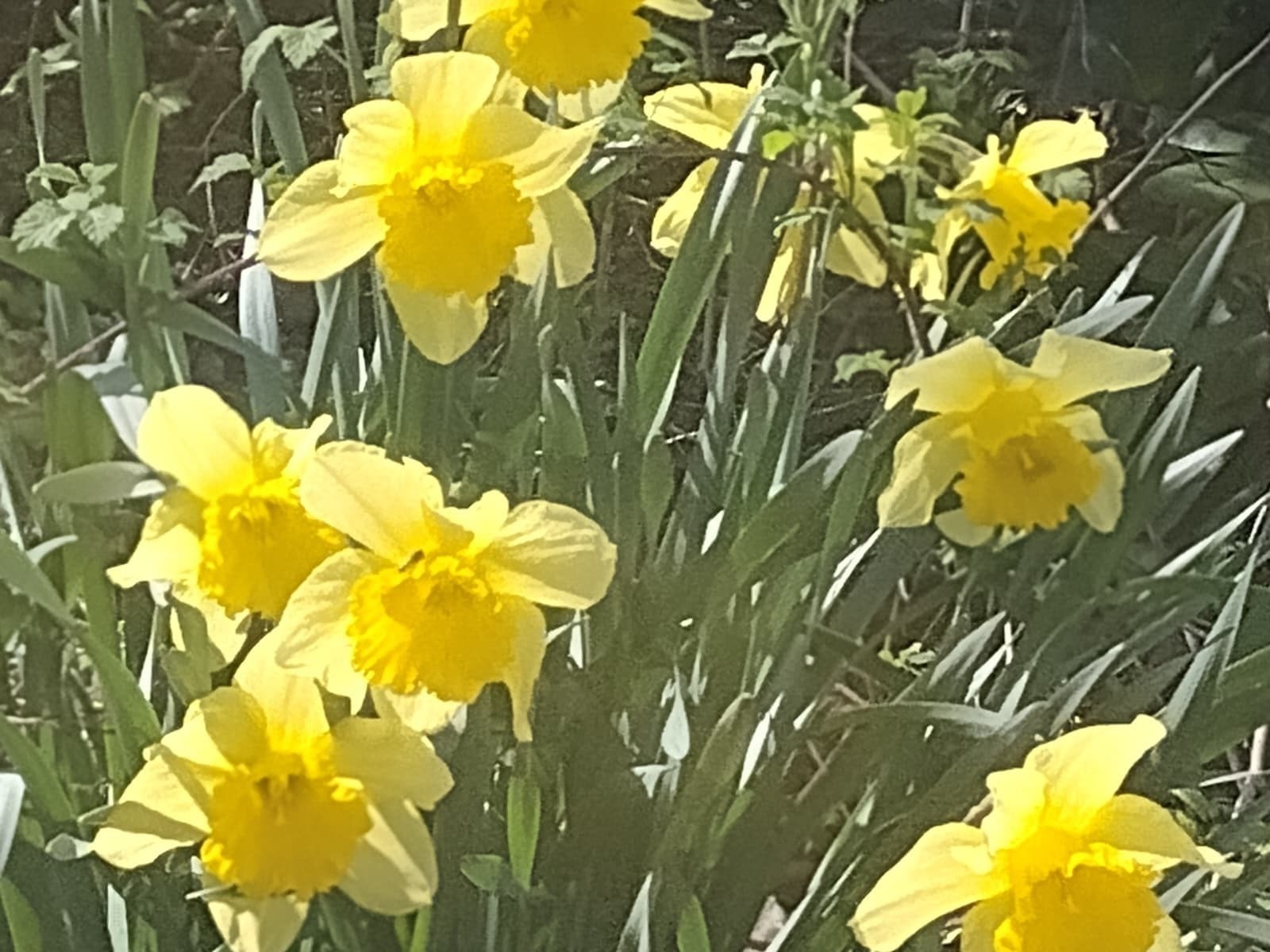 150 Webster Ave Unit 3, Chelsea, MA 02150 - Image 15