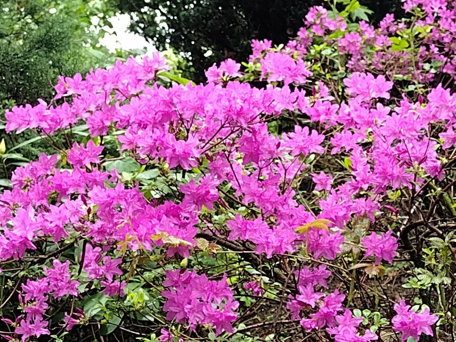 150 Webster Ave Unit 3, Chelsea, MA 02150 - Image 16