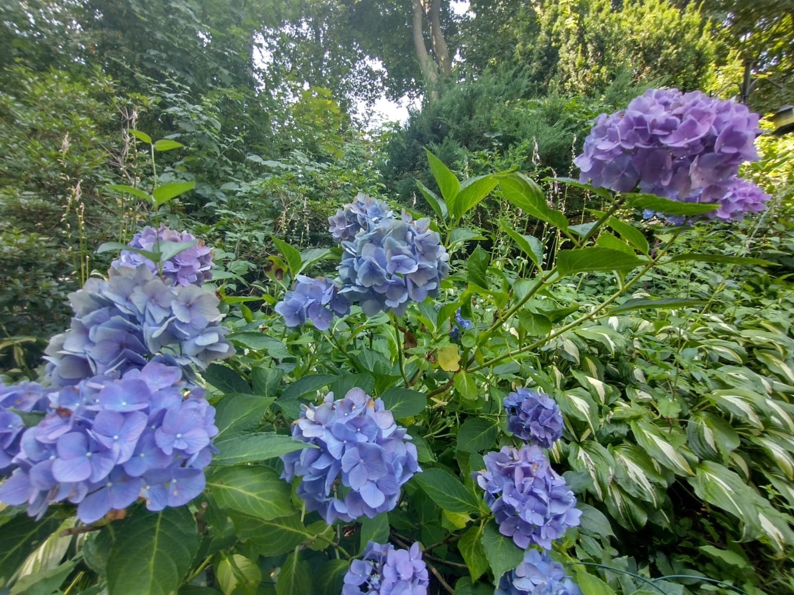 150 Webster Ave Unit 3, Chelsea, MA 02150 - Image 27