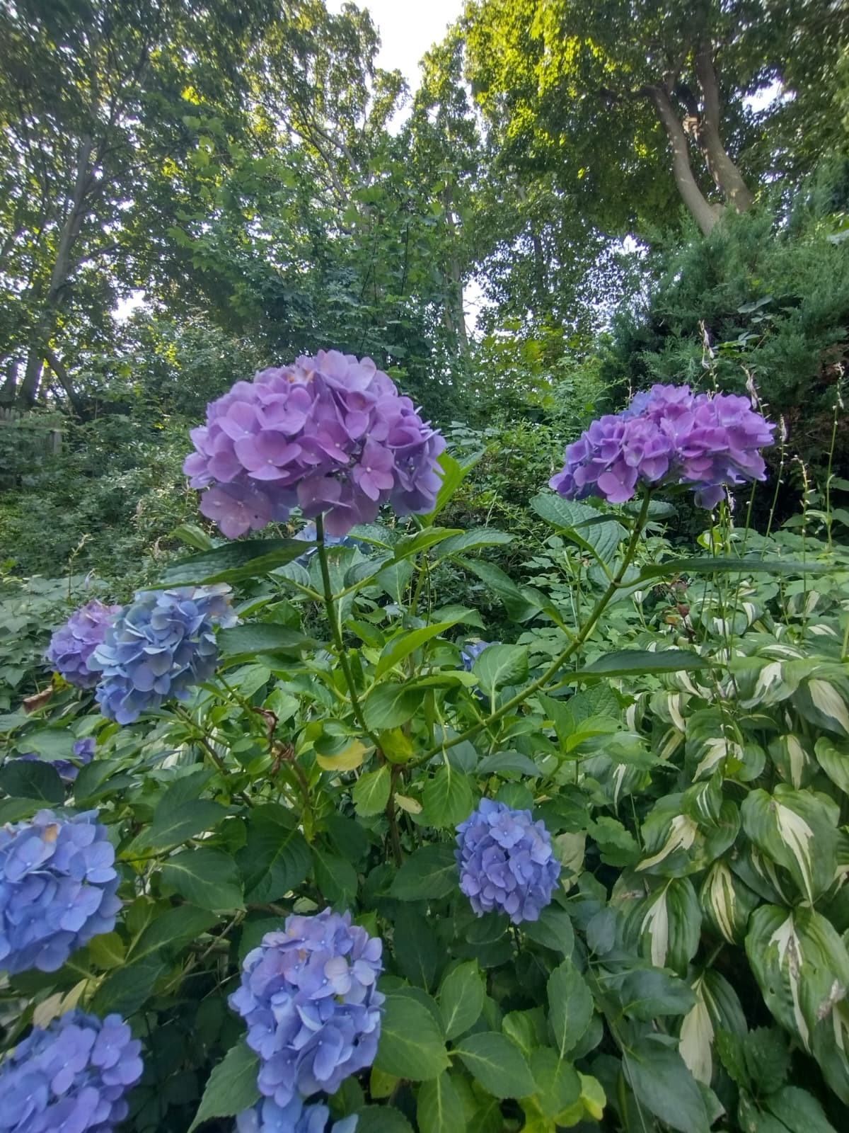 150 Webster Ave Unit 3, Chelsea, MA 02150 - Image 28