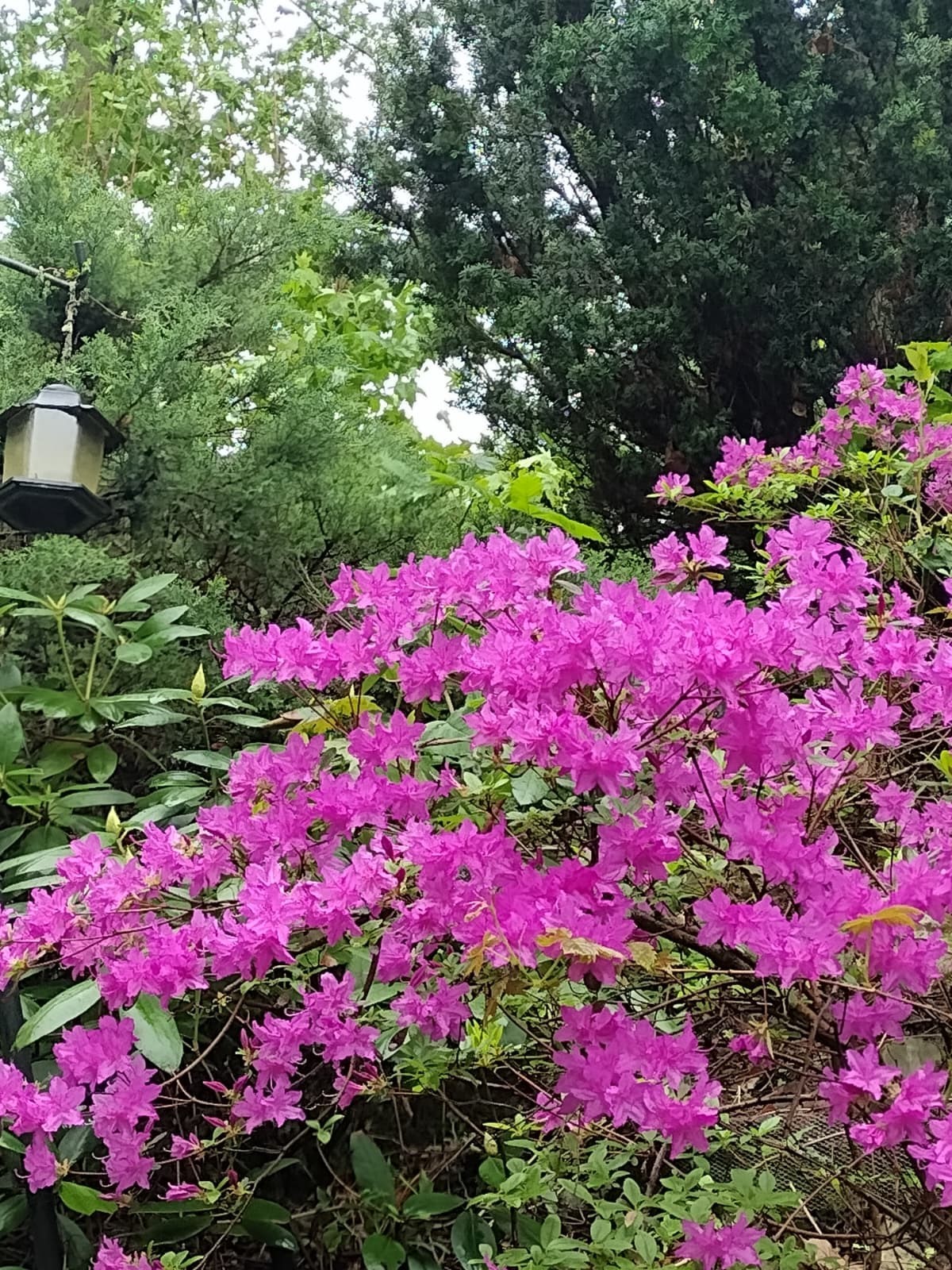 150 Webster Ave Unit 3, Chelsea, MA 02150 - Image 29