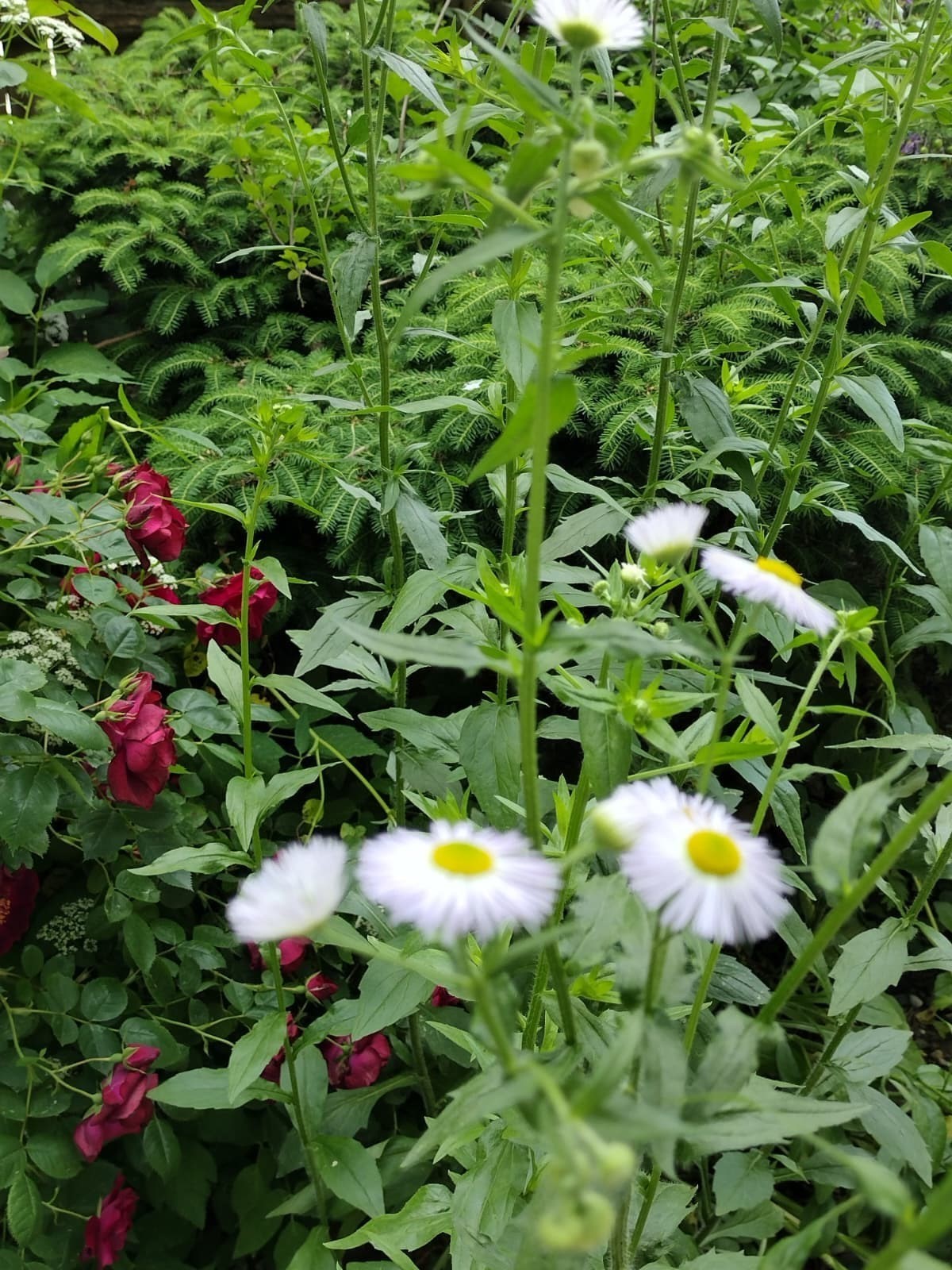 150 Webster Ave Unit 3, Chelsea, MA 02150 - Image 30