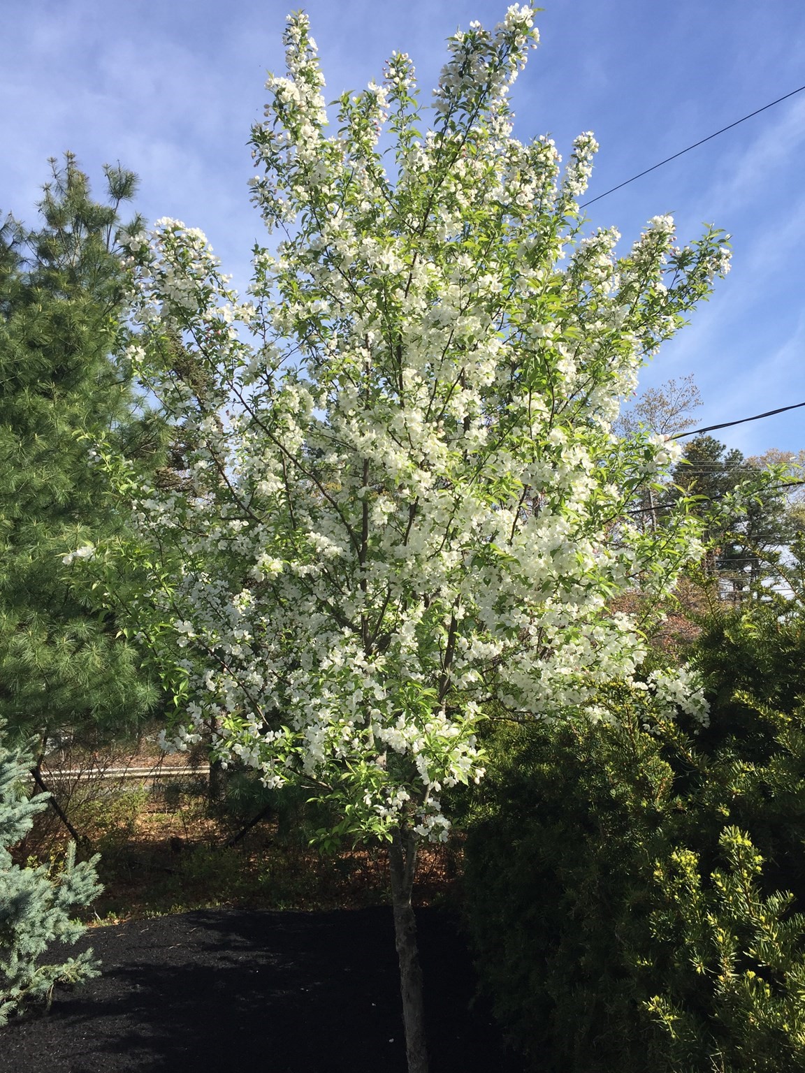 200 Plympton Rd, Plymouth, MA 02360 - Image 37