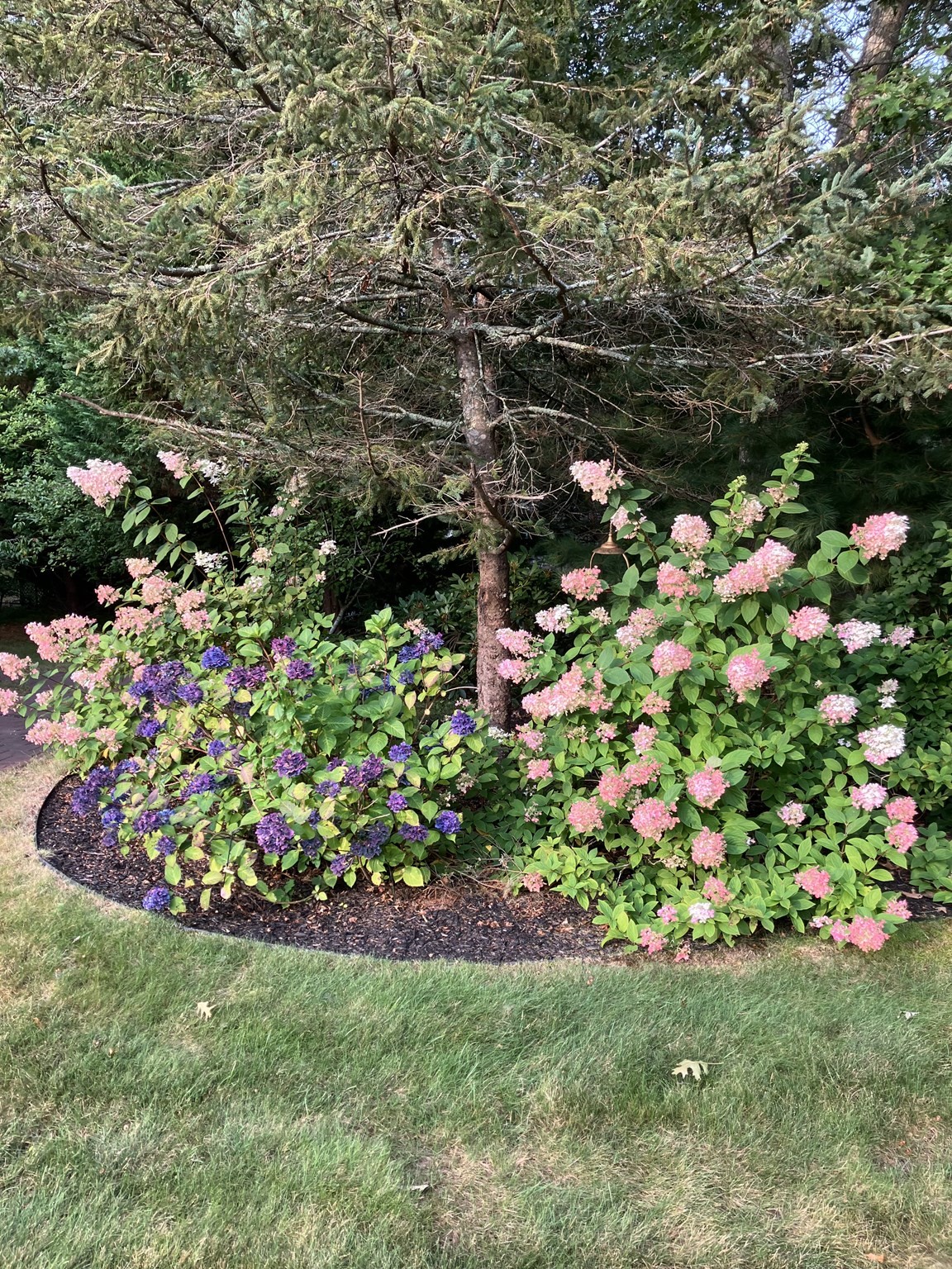 200 Plympton Rd, Plymouth, MA 02360 - Image 38