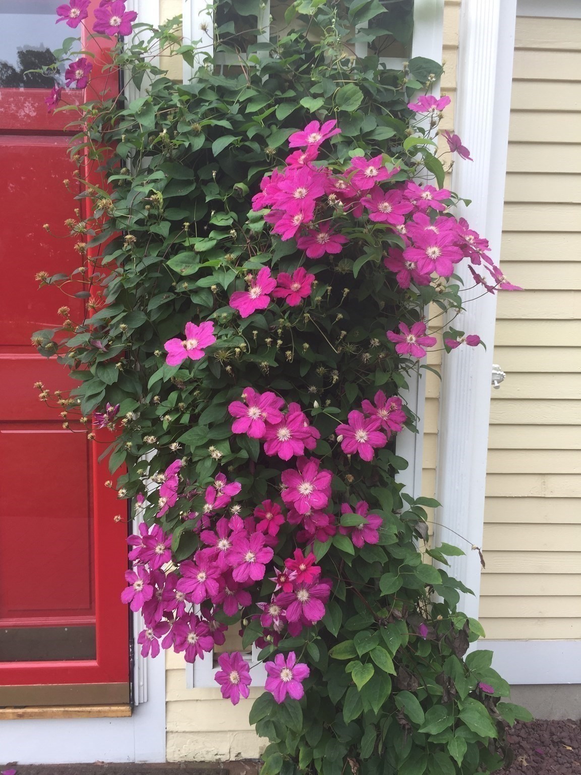 200 Plympton Rd, Plymouth, MA 02360 - Image 7