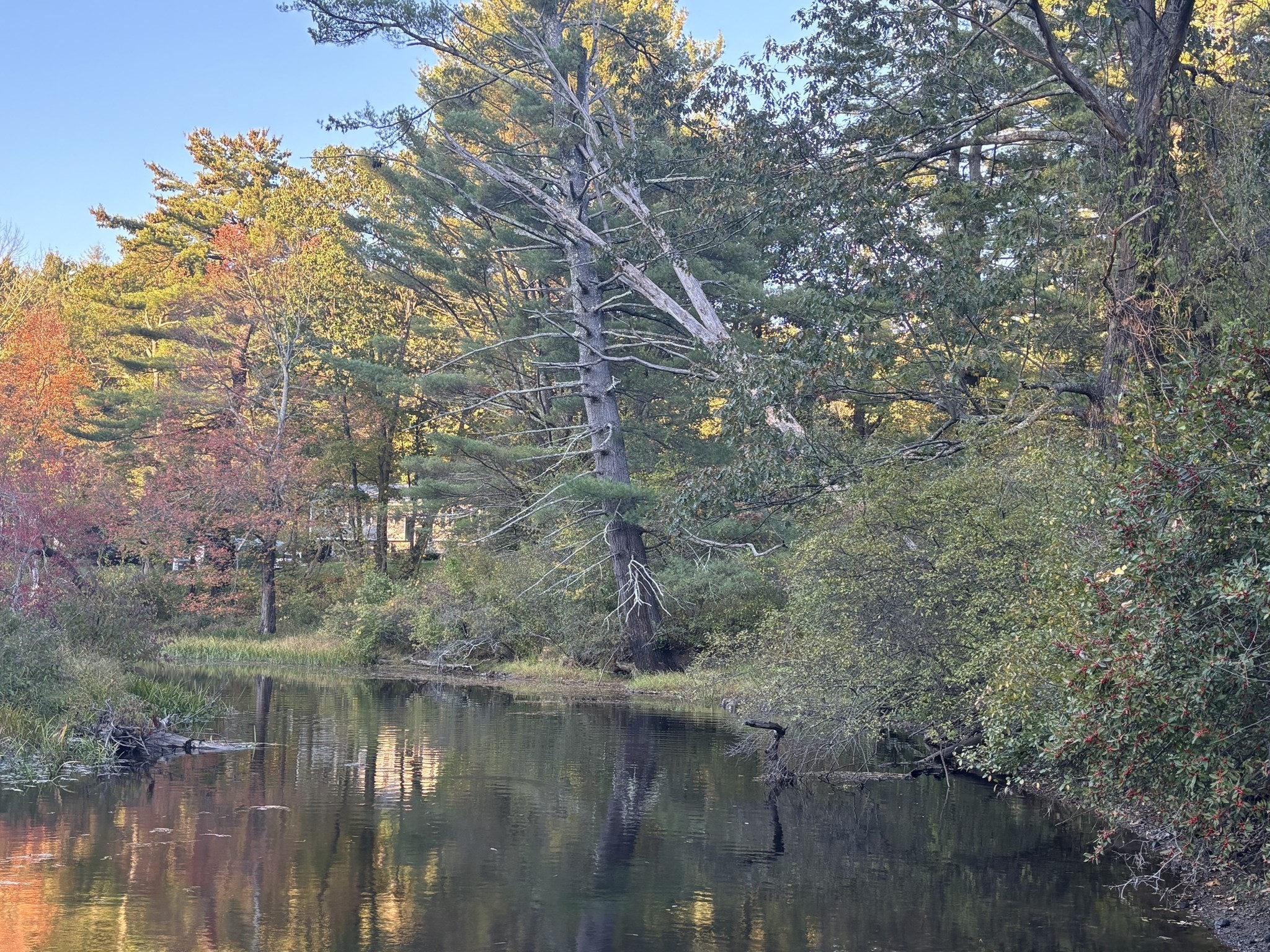 9 Howarth Rd, Oxford, MA 01540 - Image 1