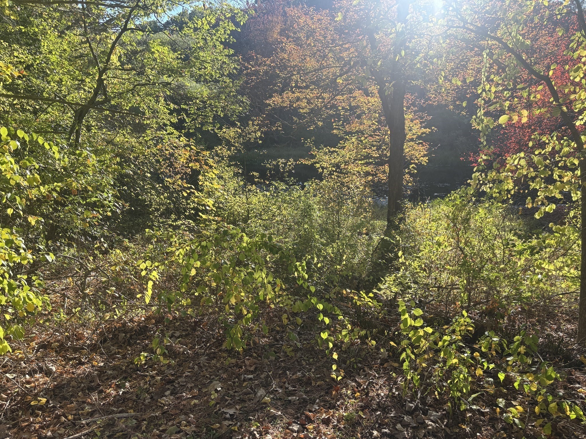 9 Howarth Rd, Oxford, MA 01540 - Image 13