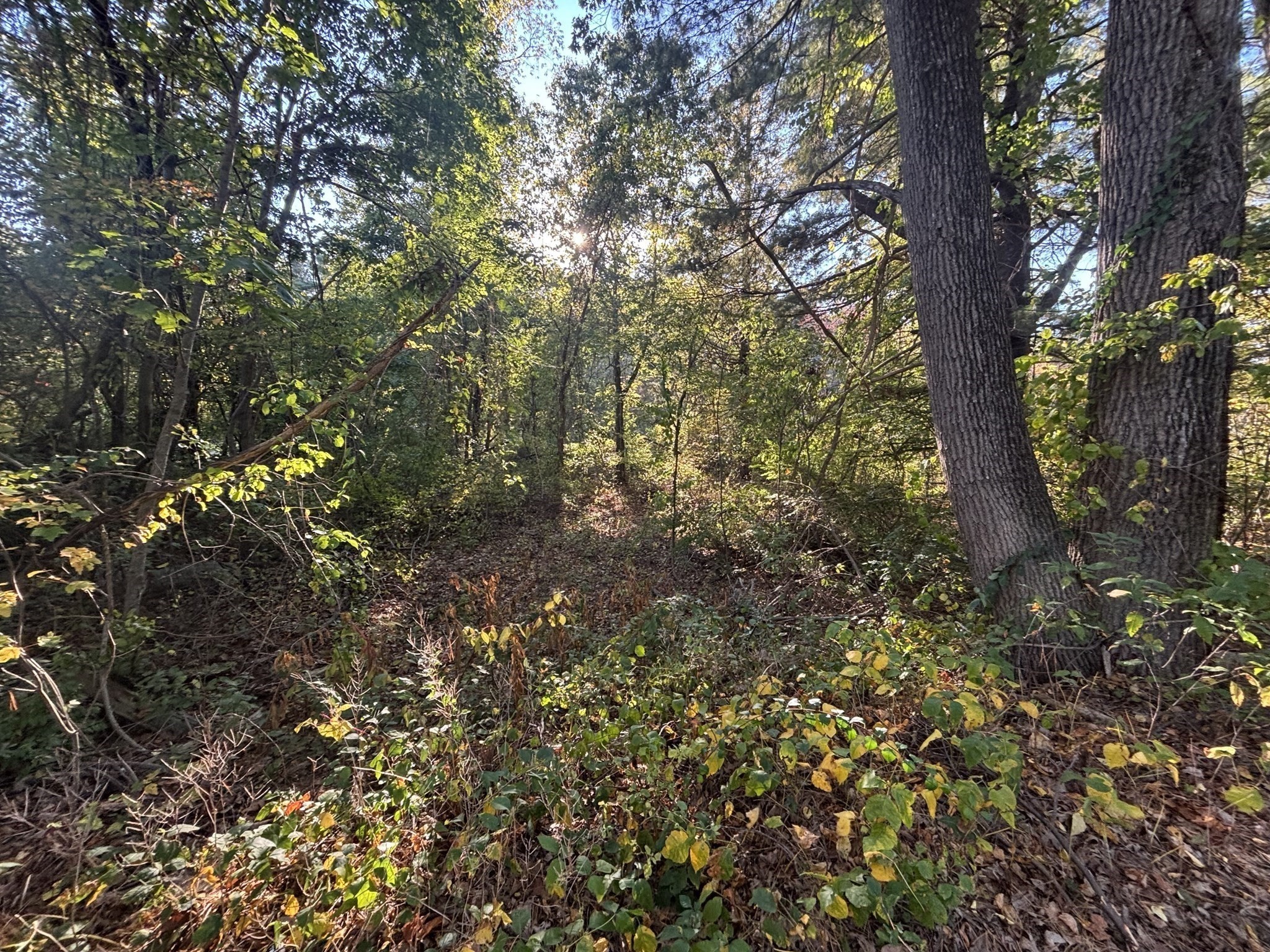 9 Howarth Rd, Oxford, MA 01540 - Image 14