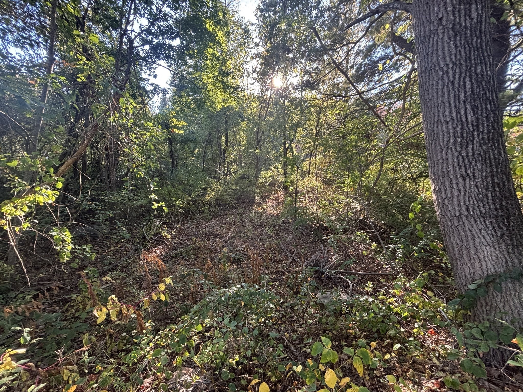 9 Howarth Rd, Oxford, MA 01540 - Image 15