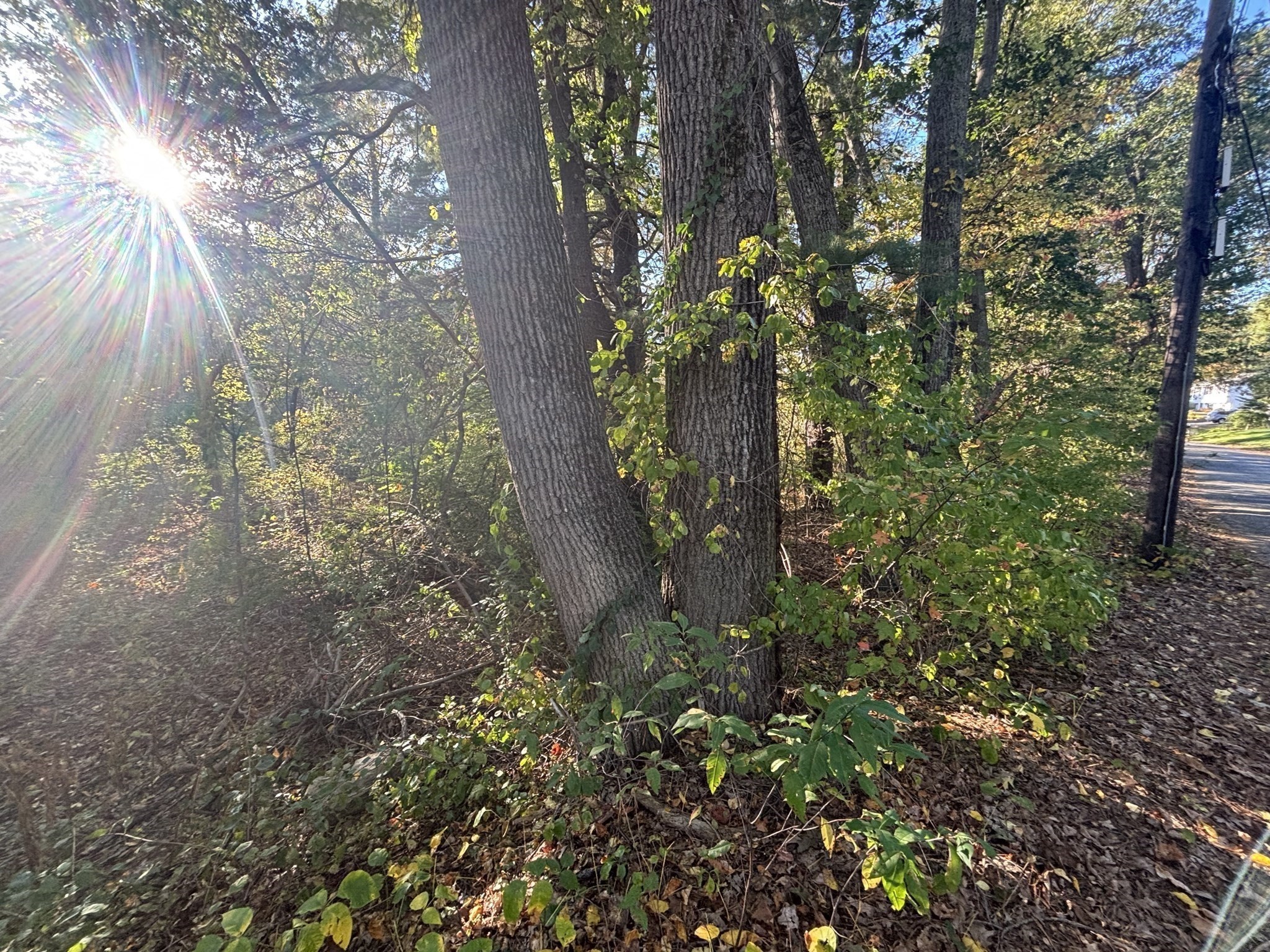 9 Howarth Rd, Oxford, MA 01540 - Image 16