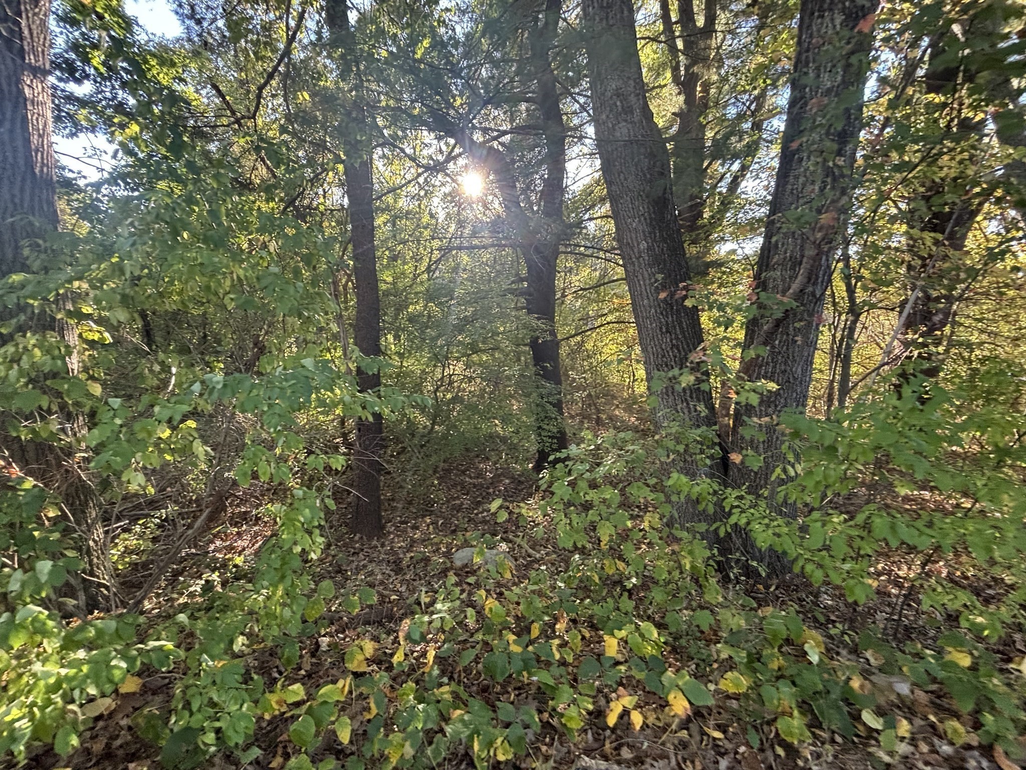 9 Howarth Rd, Oxford, MA 01540 - Image 17