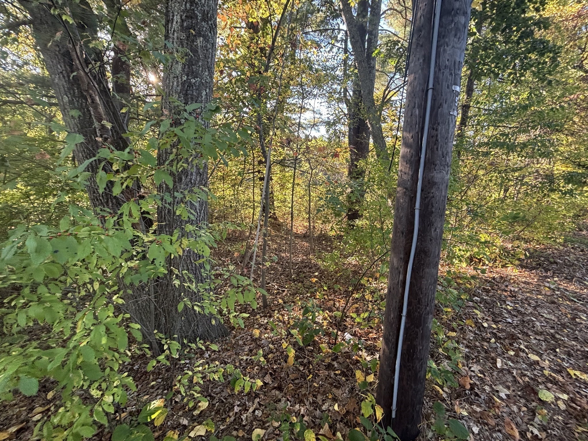 9 Howarth Rd, Oxford, MA 01540 - Image 18