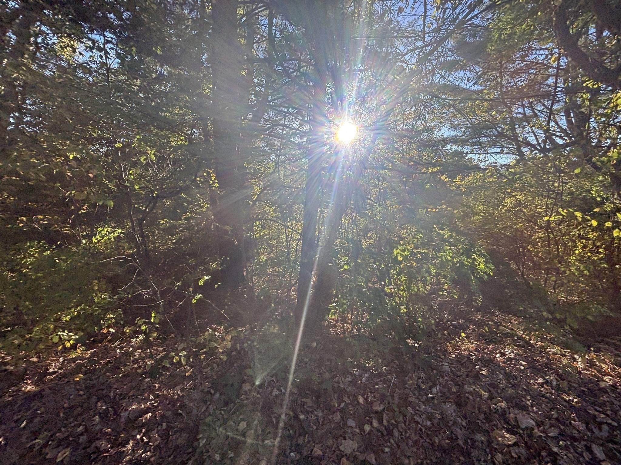 9 Howarth Rd, Oxford, MA 01540 - Image 19