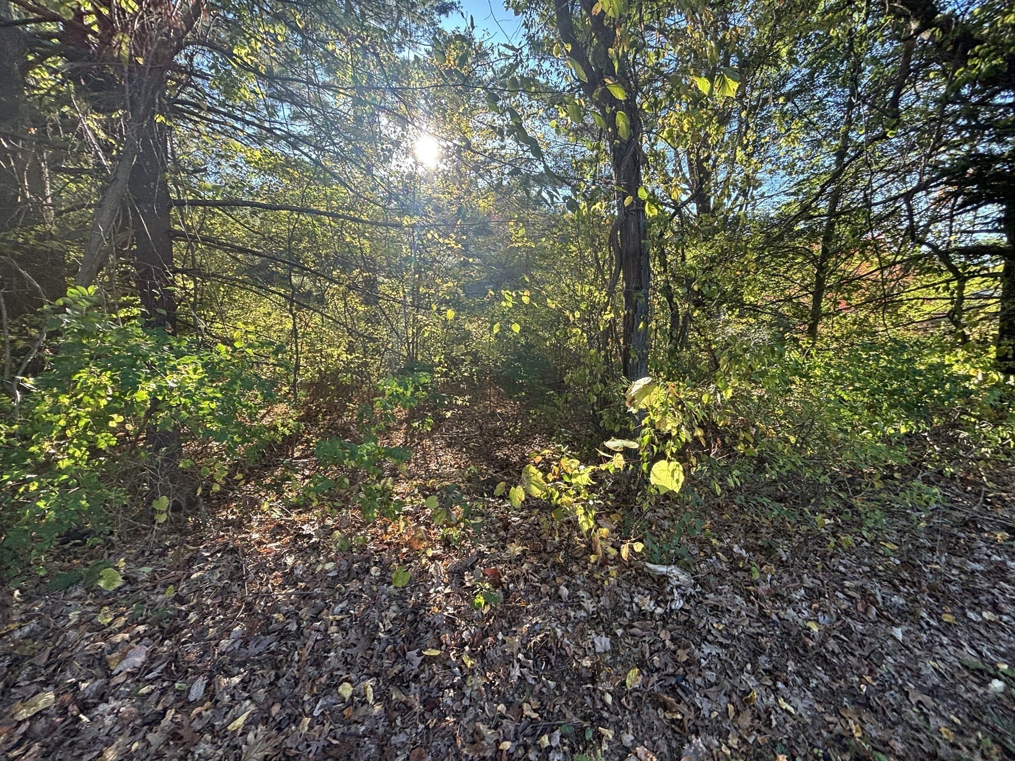 9 Howarth Rd, Oxford, MA 01540 - Image 20