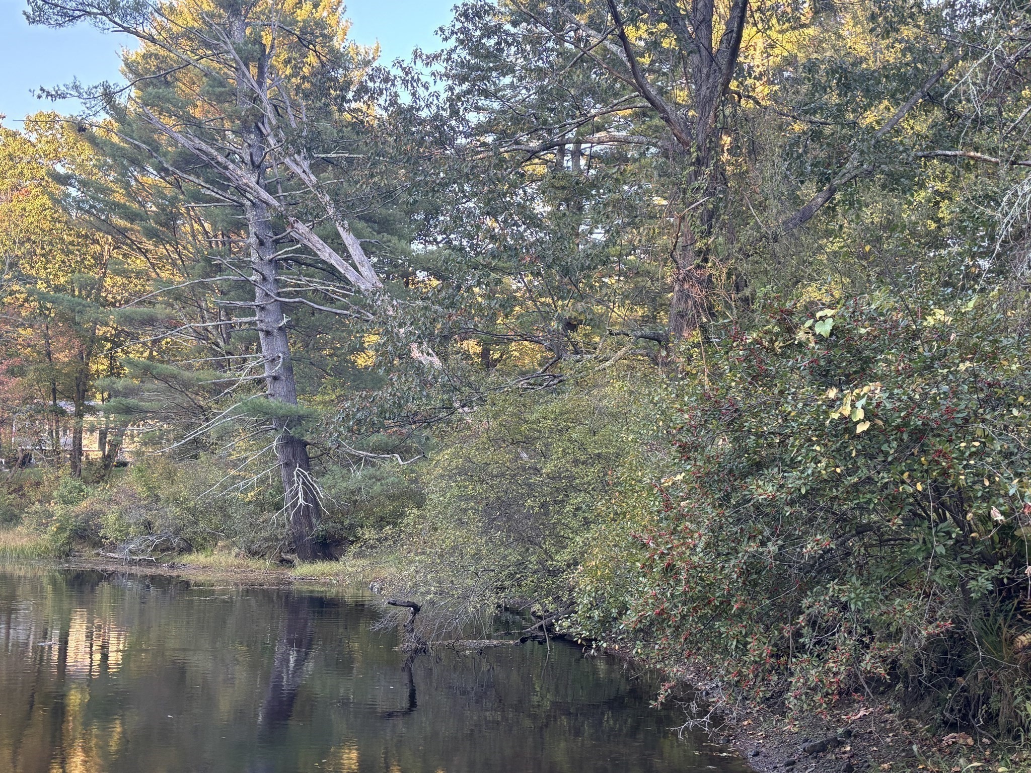 9 Howarth Rd, Oxford, MA 01540 - Image 3